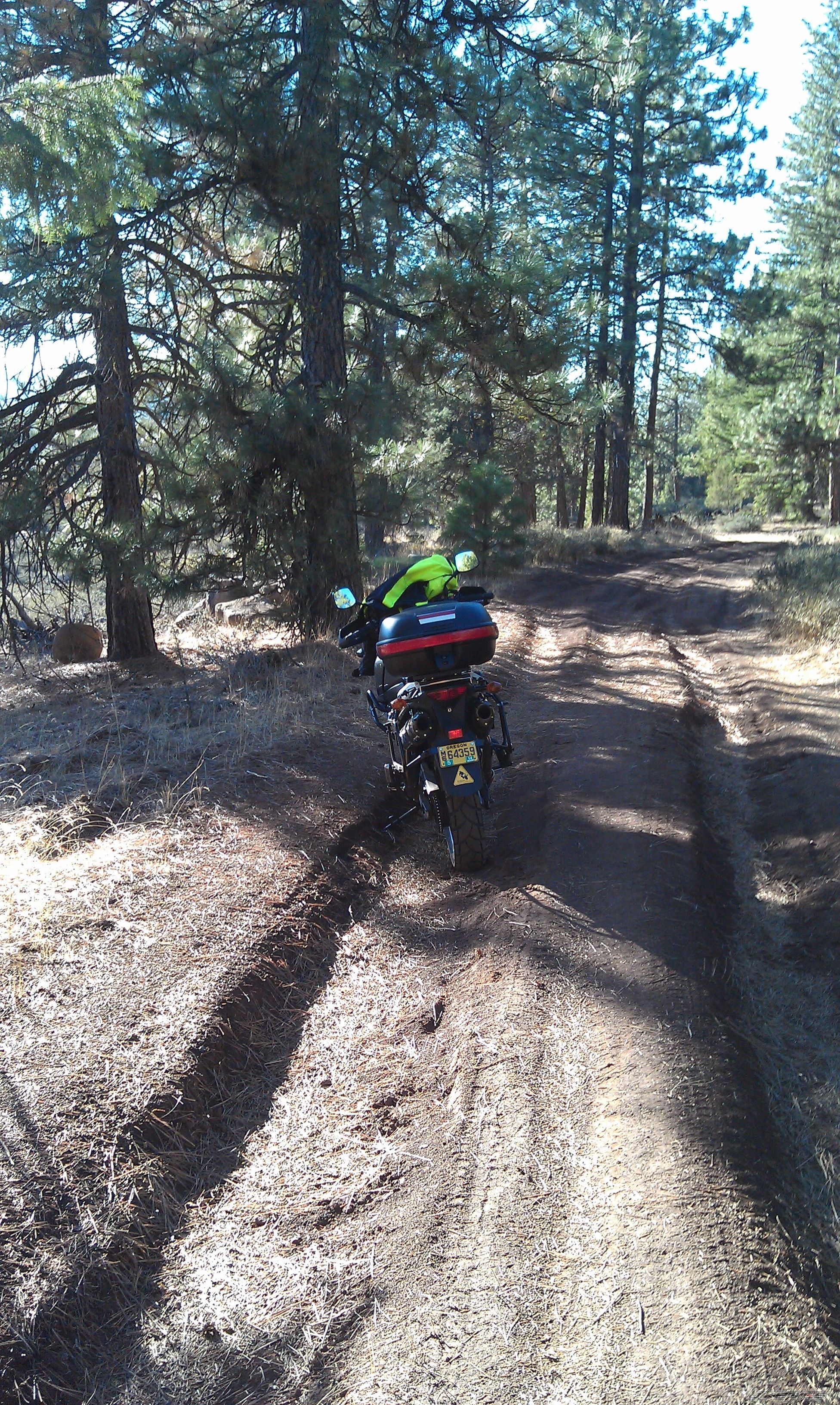 Photo 2469512