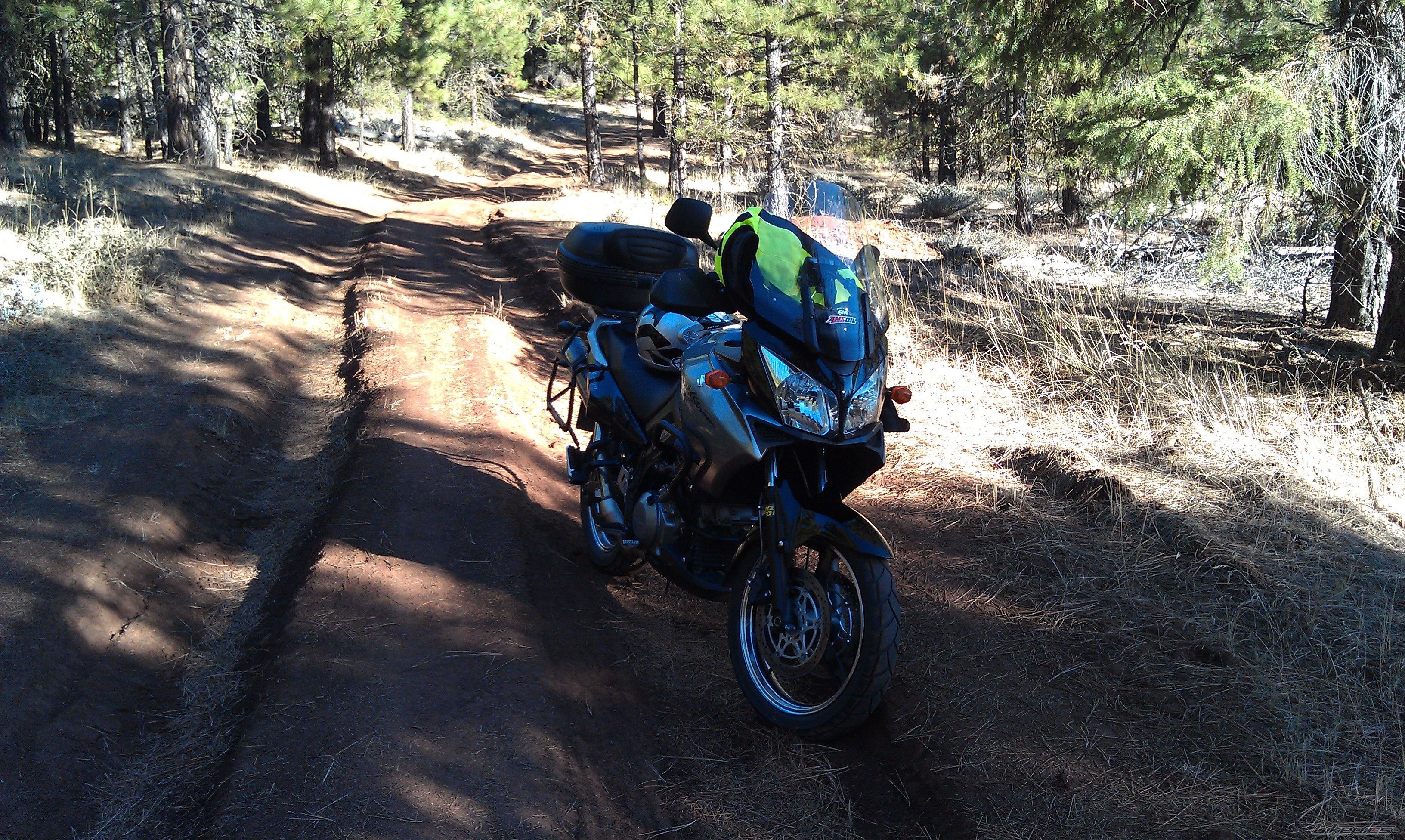 Photo 2469513