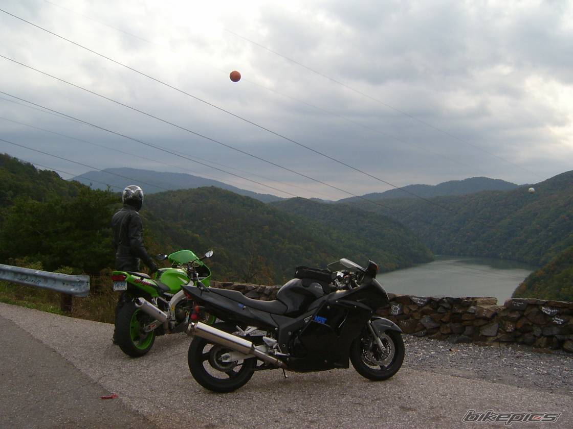 Photo 246953