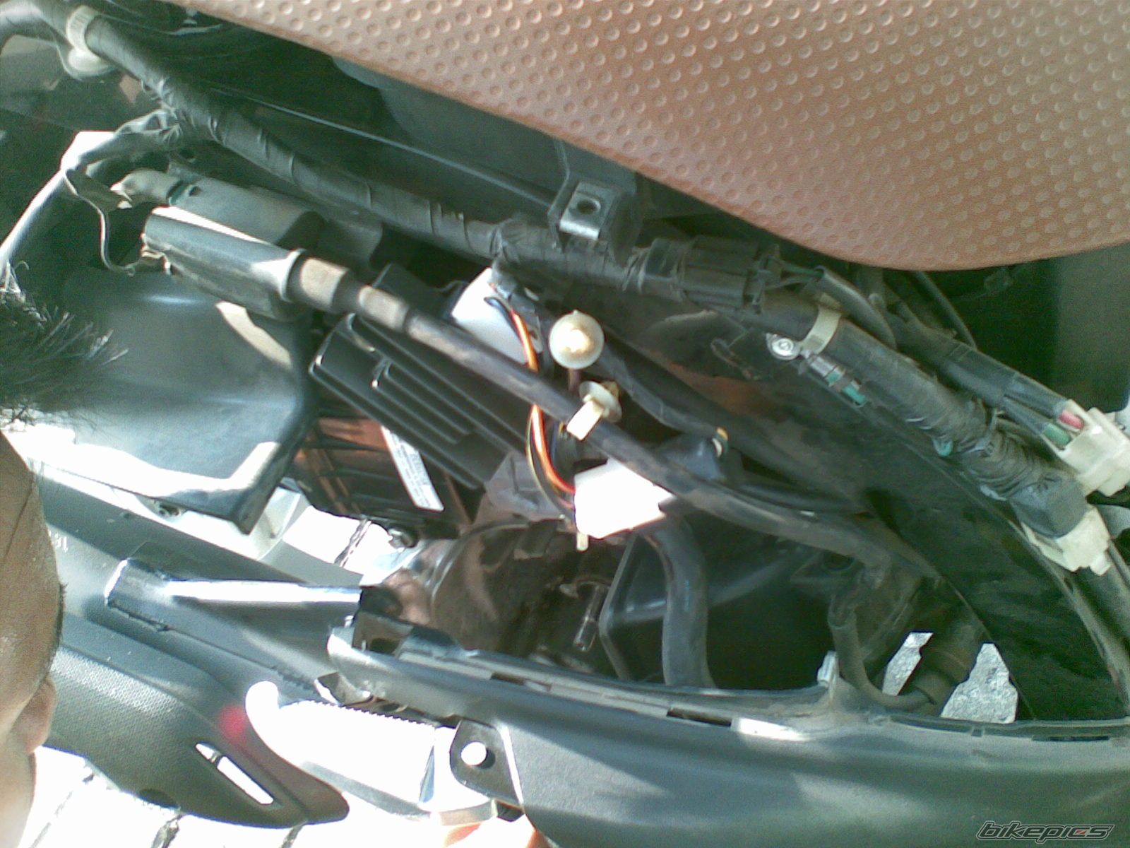 Photo 2469530