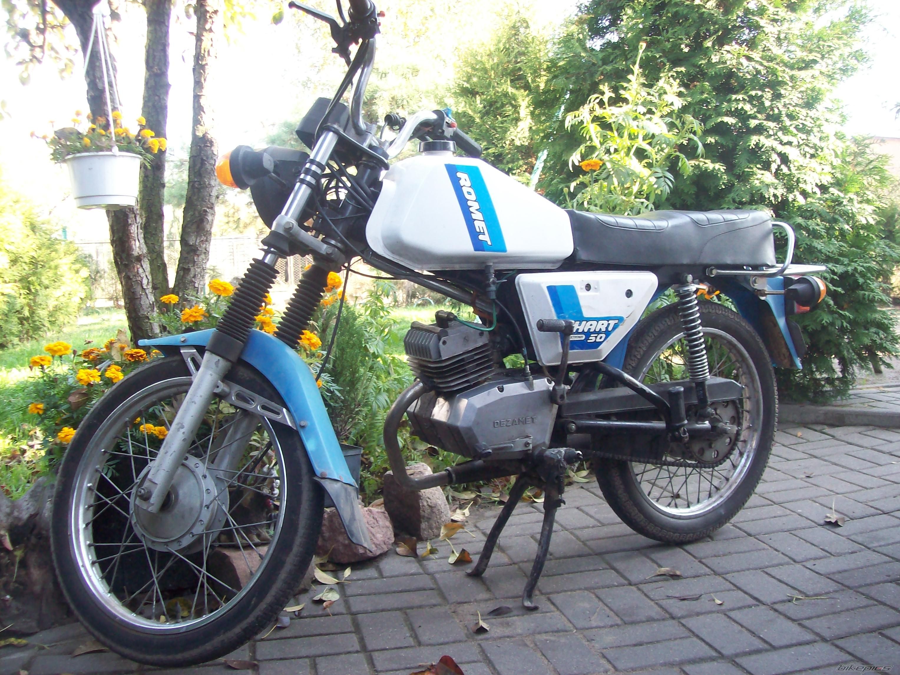 Photo 2469562