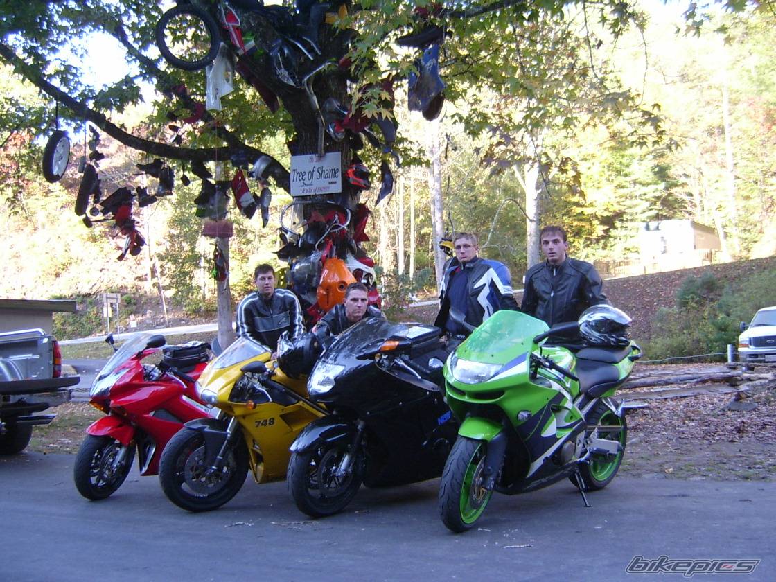 Bike Photo 246958