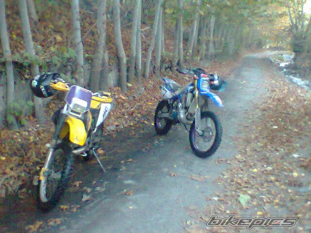 Photo 2469584