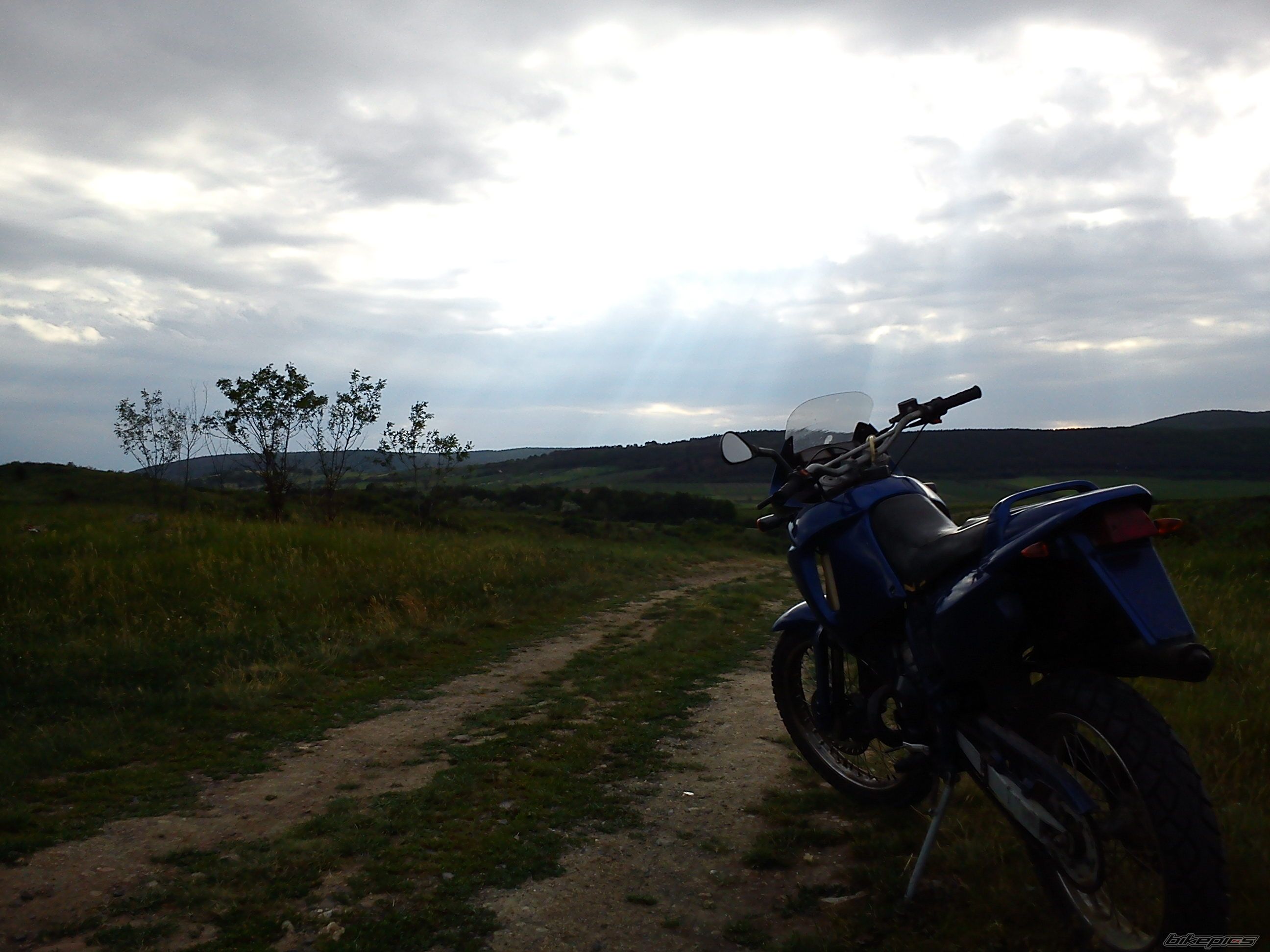 Photo 2469619