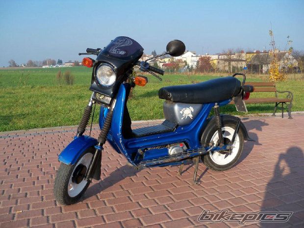 Photo 2469634
