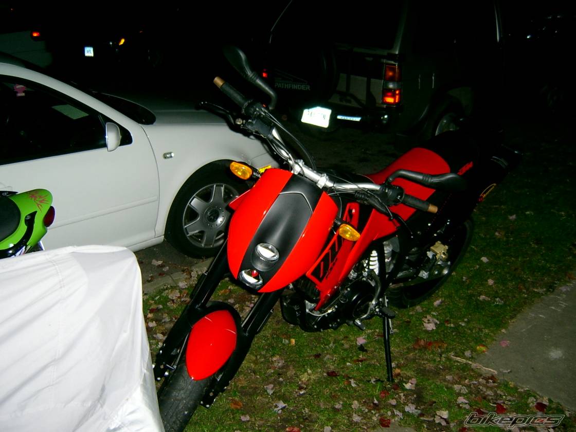 Photo 246965