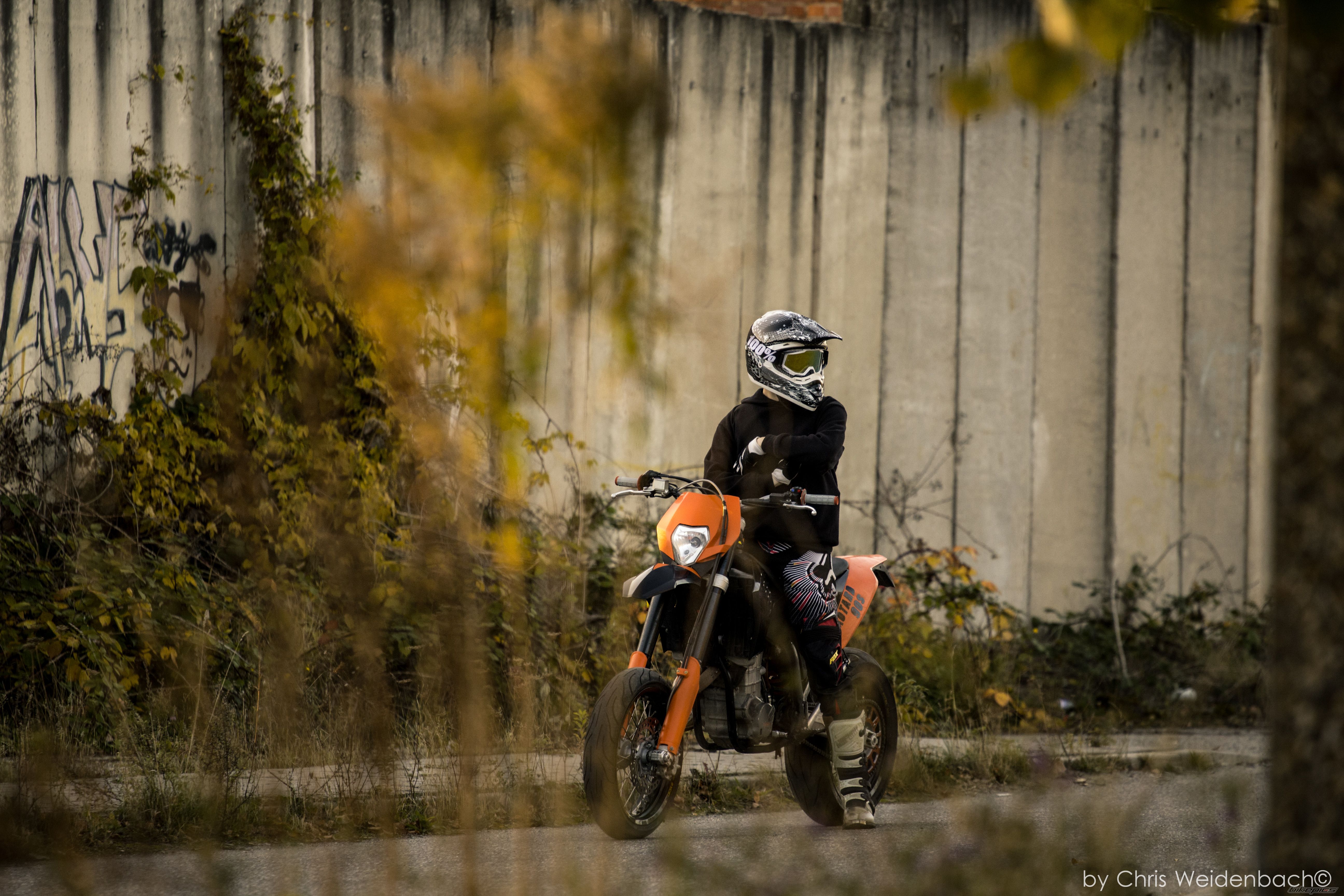 Photo 2469660