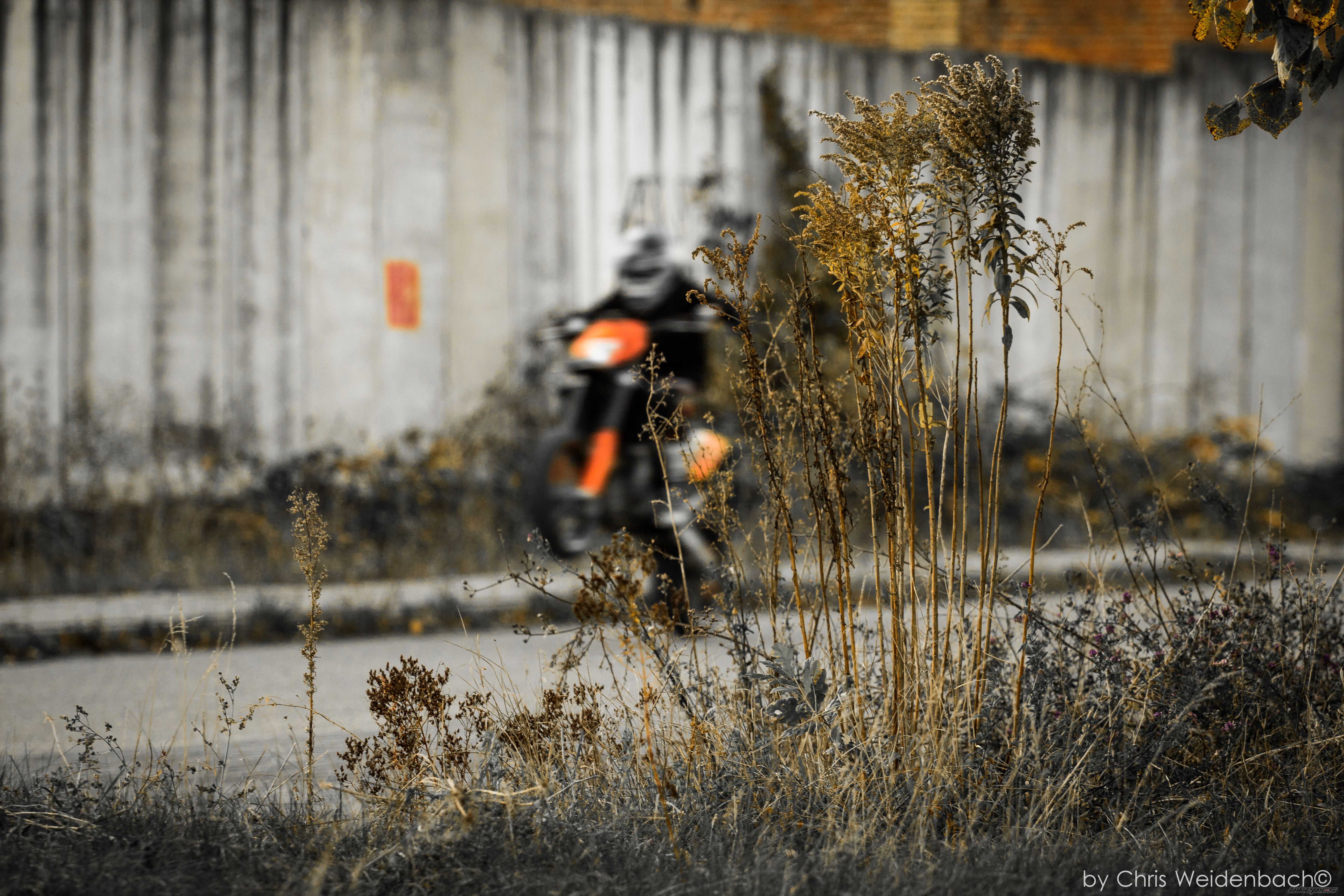 Photo 2469661