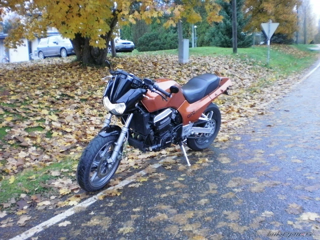 Photo 2469670
