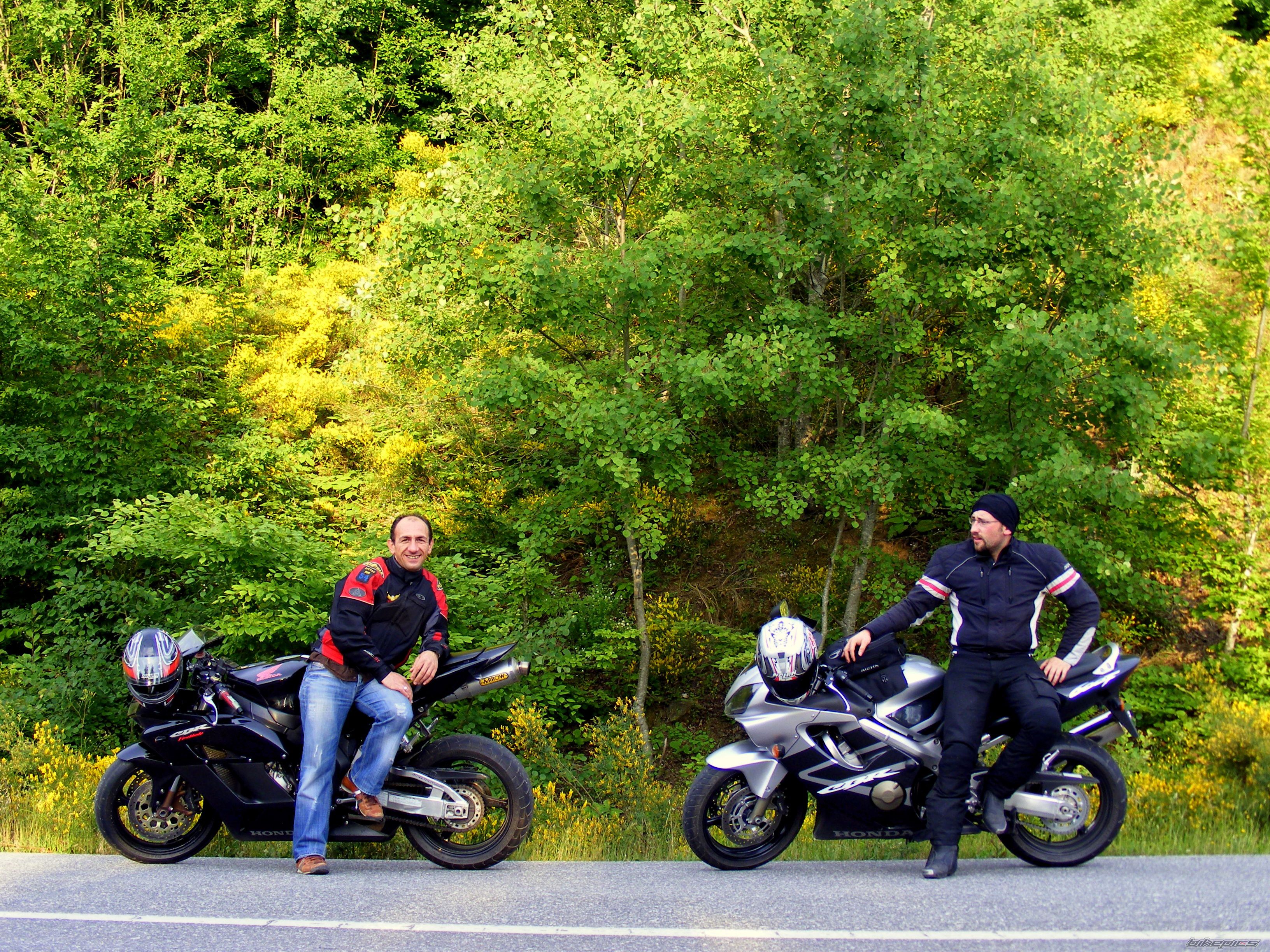 Photo 2469735