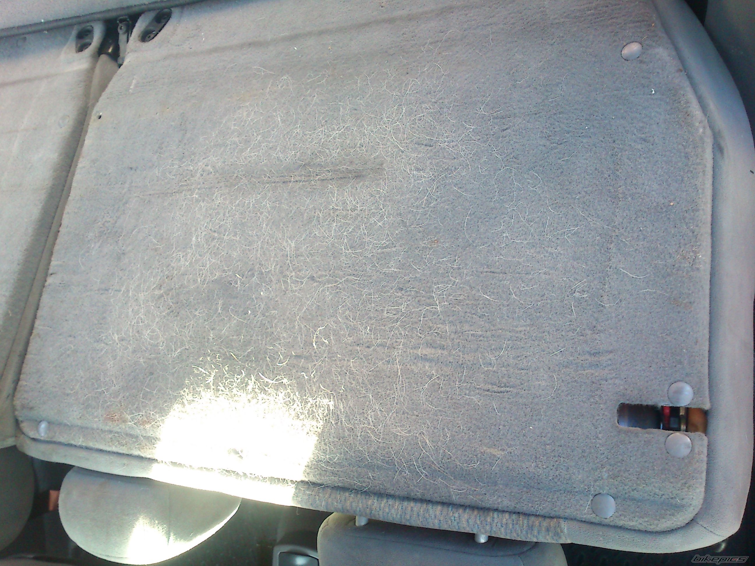 Photo 2469776
