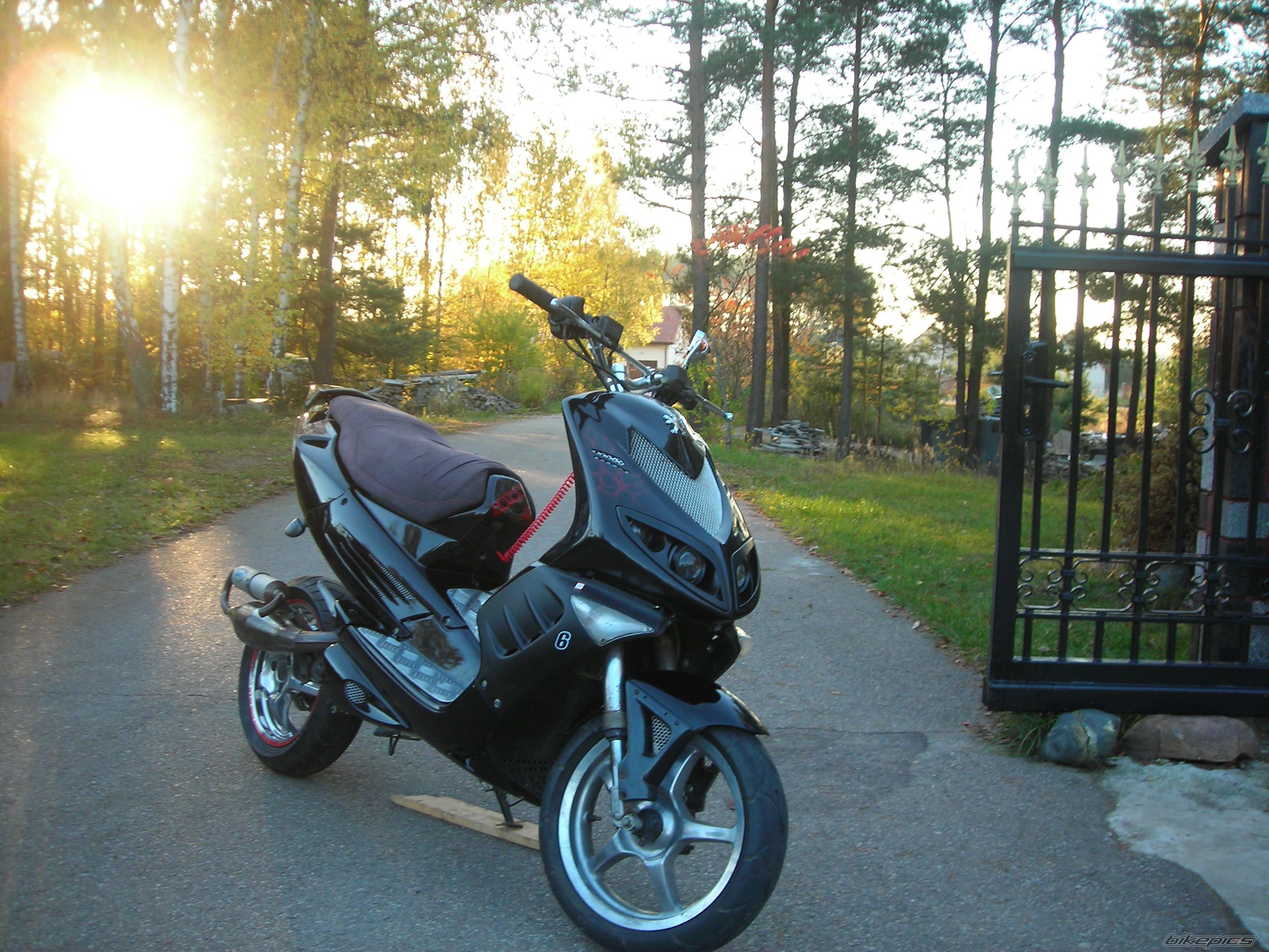Photo 2469794