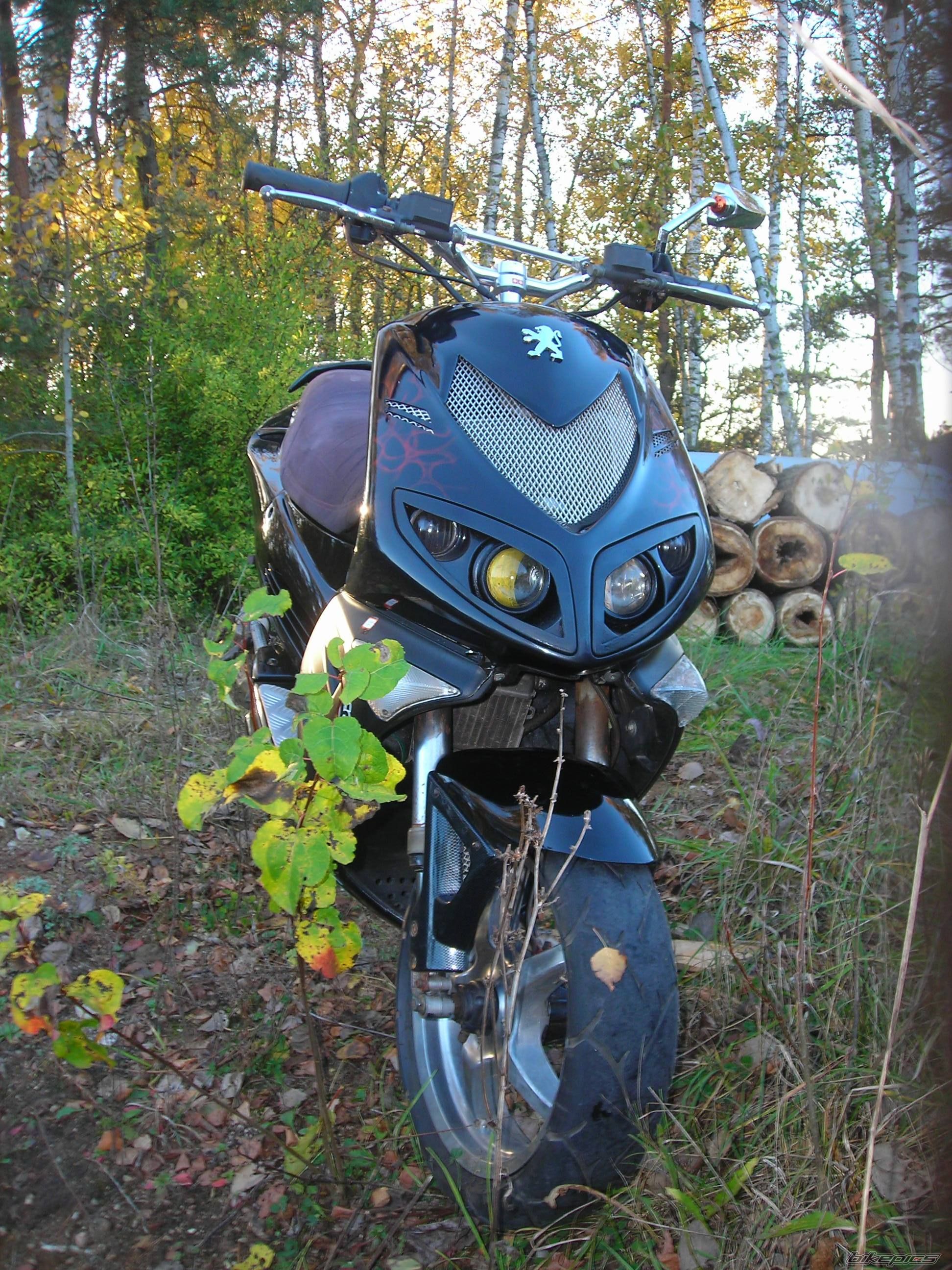 Photo 2469796