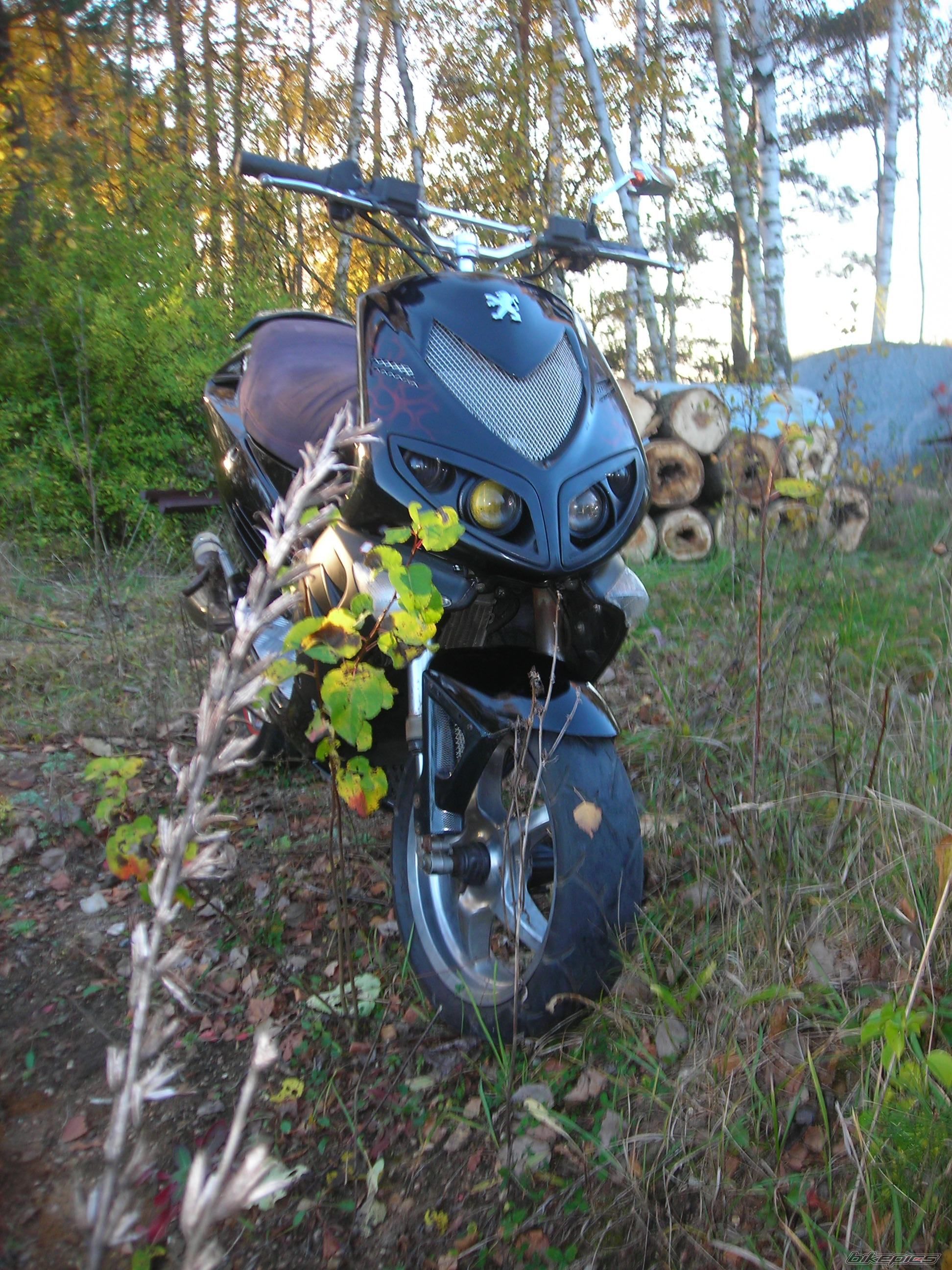 Photo 2469797