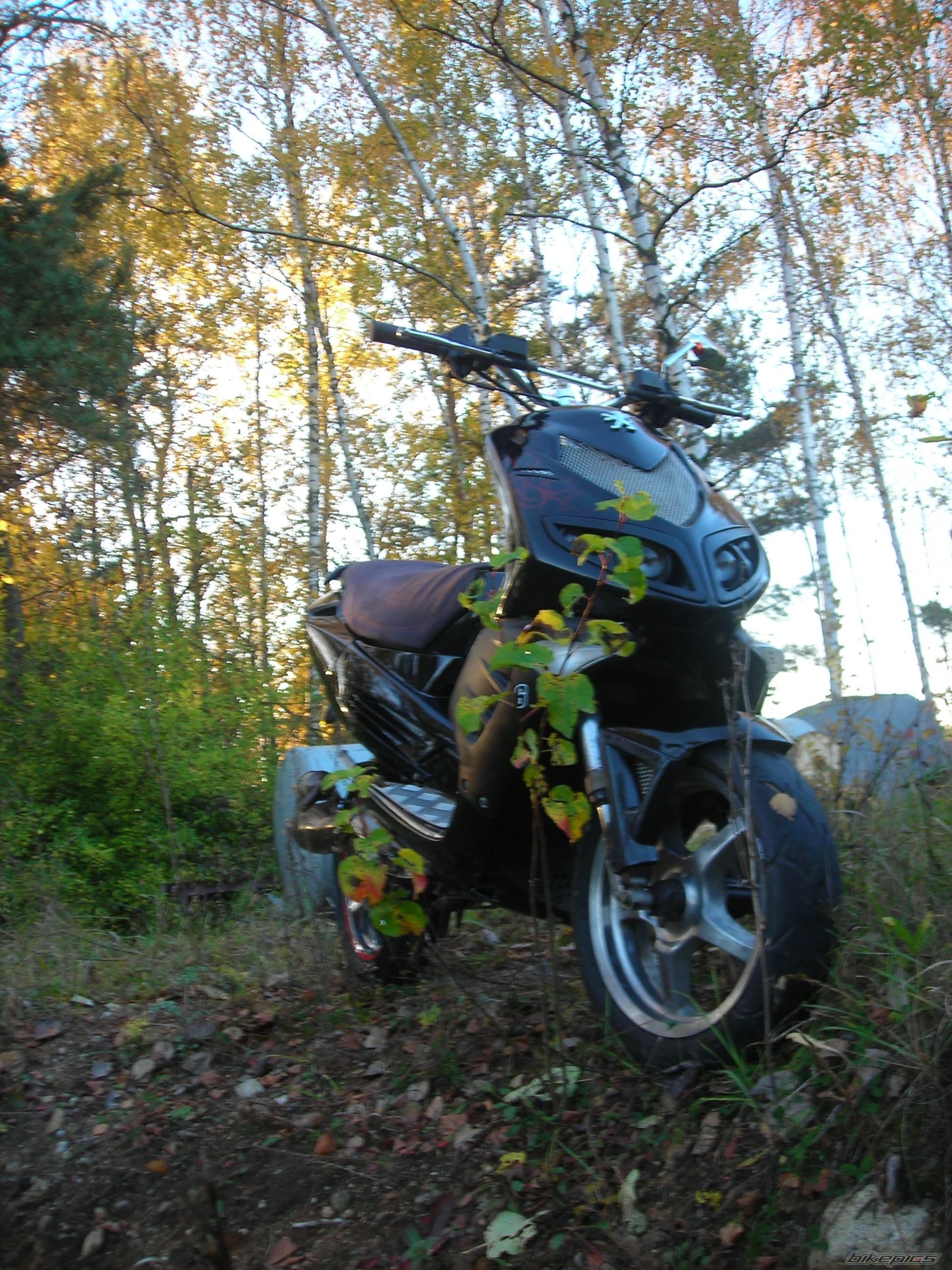 Photo 2469798