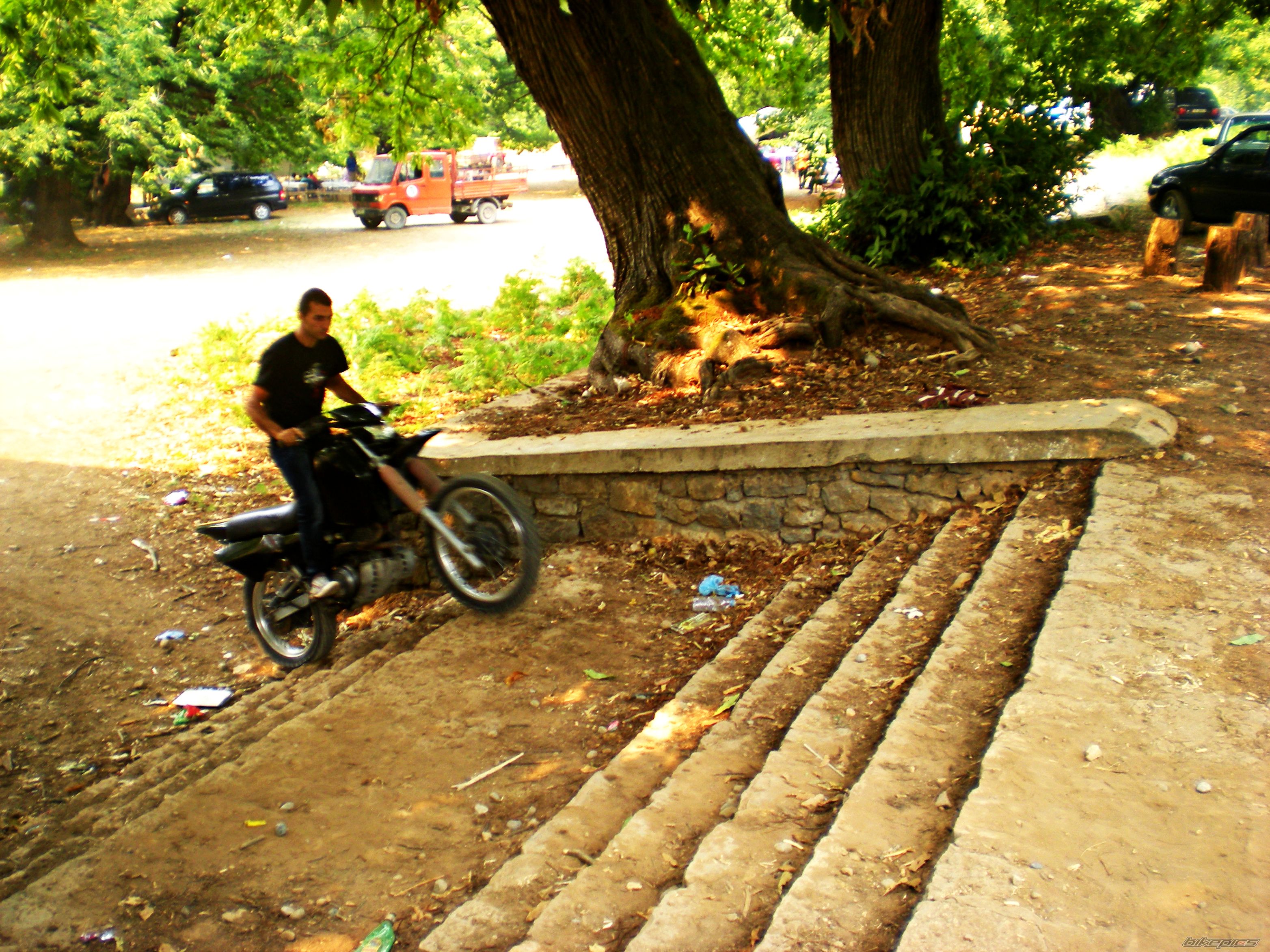 Photo 2469813