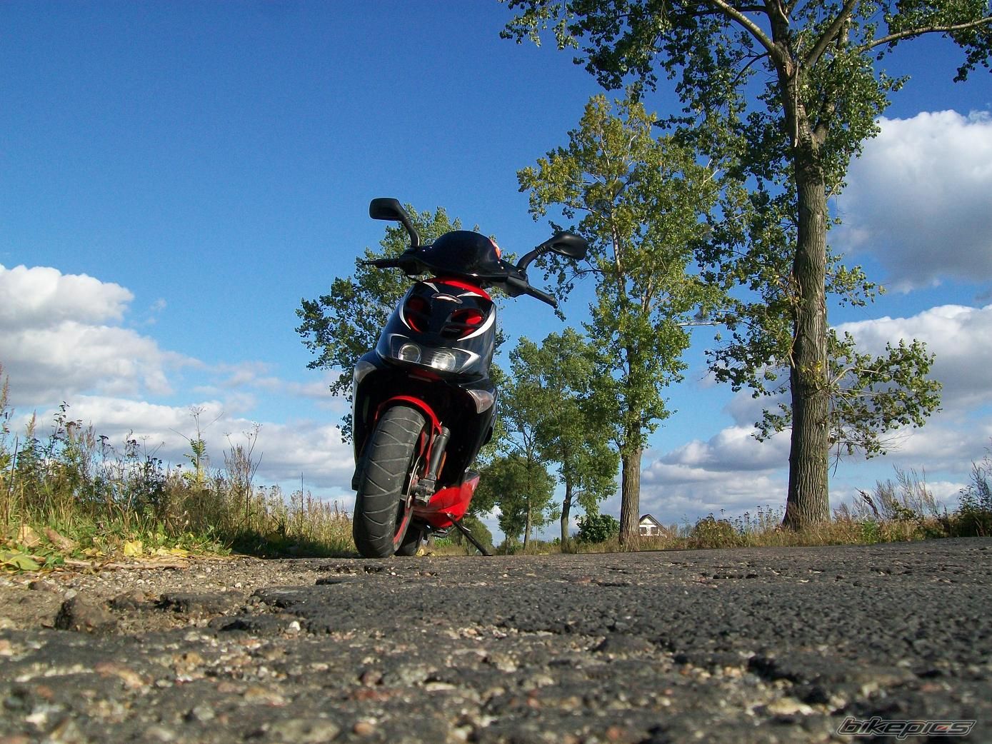 Photo 2469877