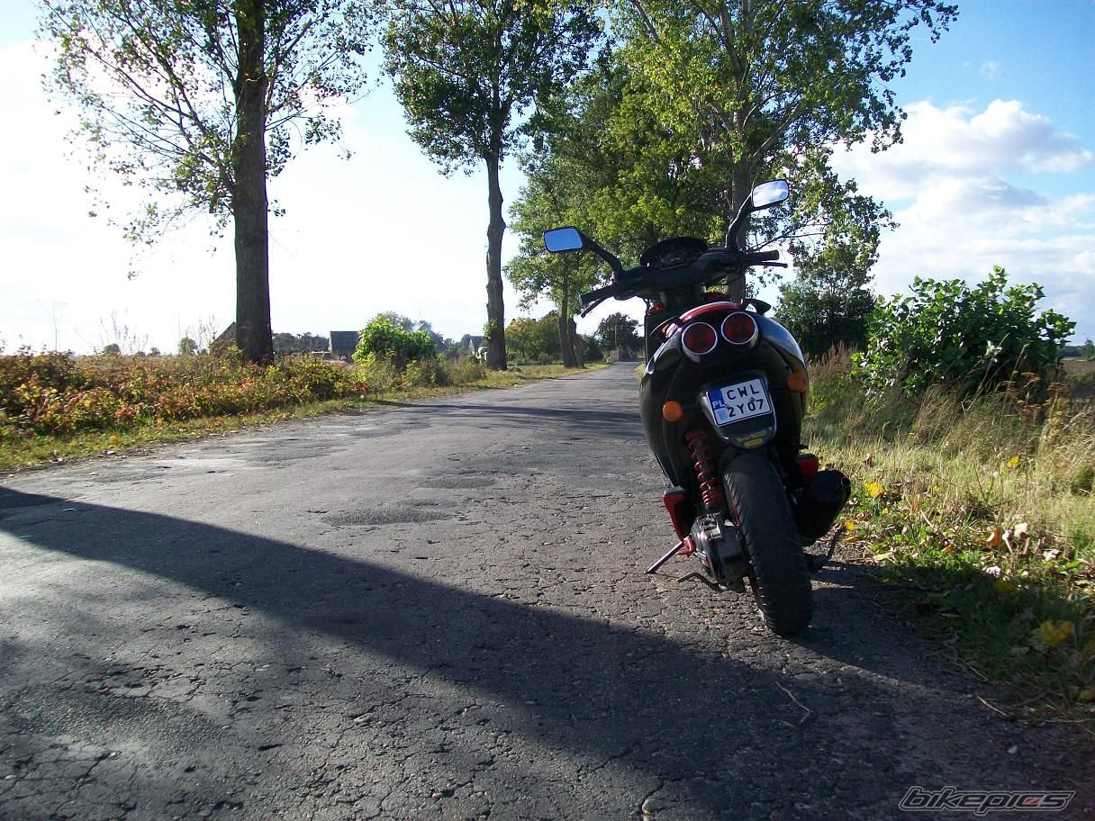 Photo 2469878