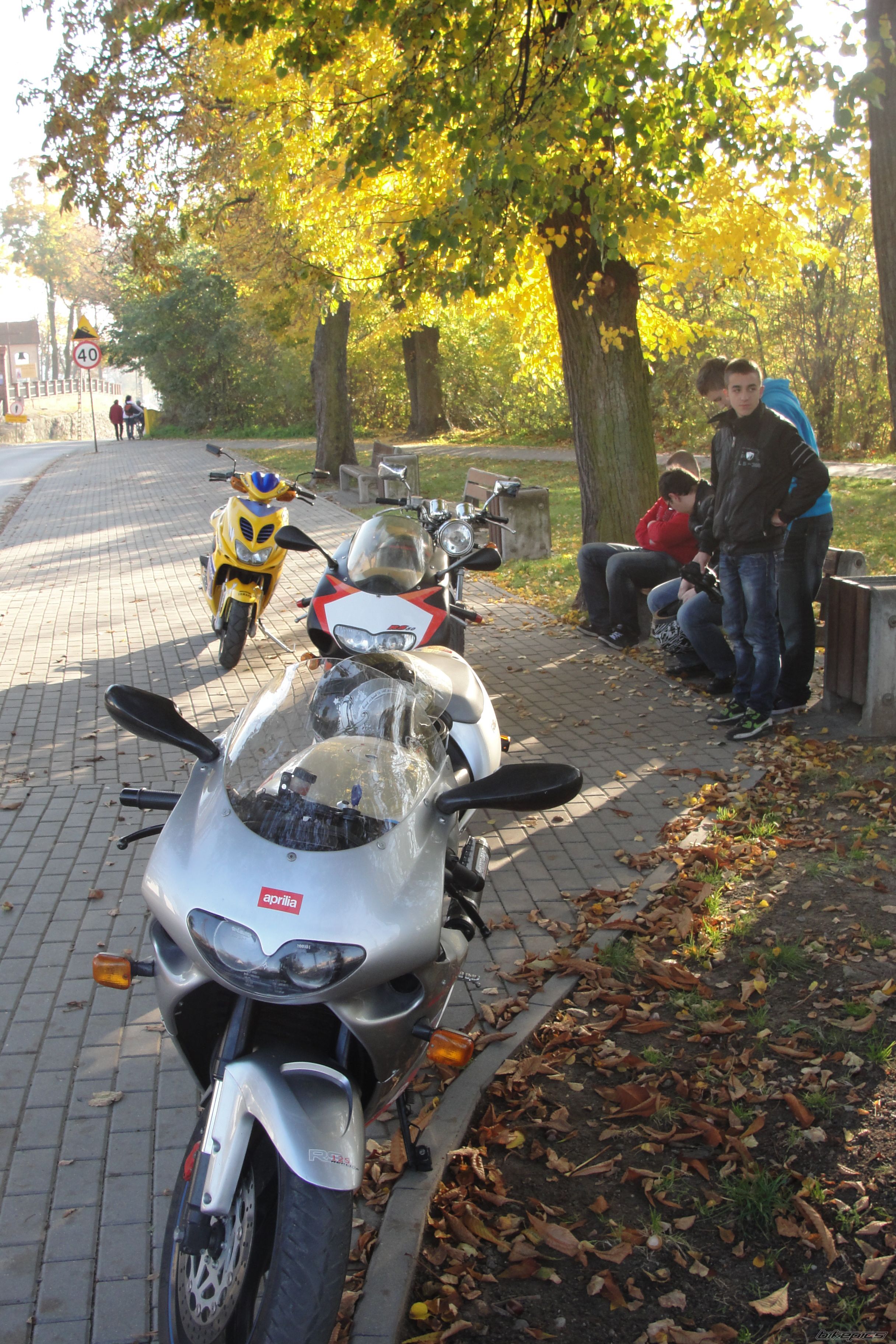 Photo 2469907