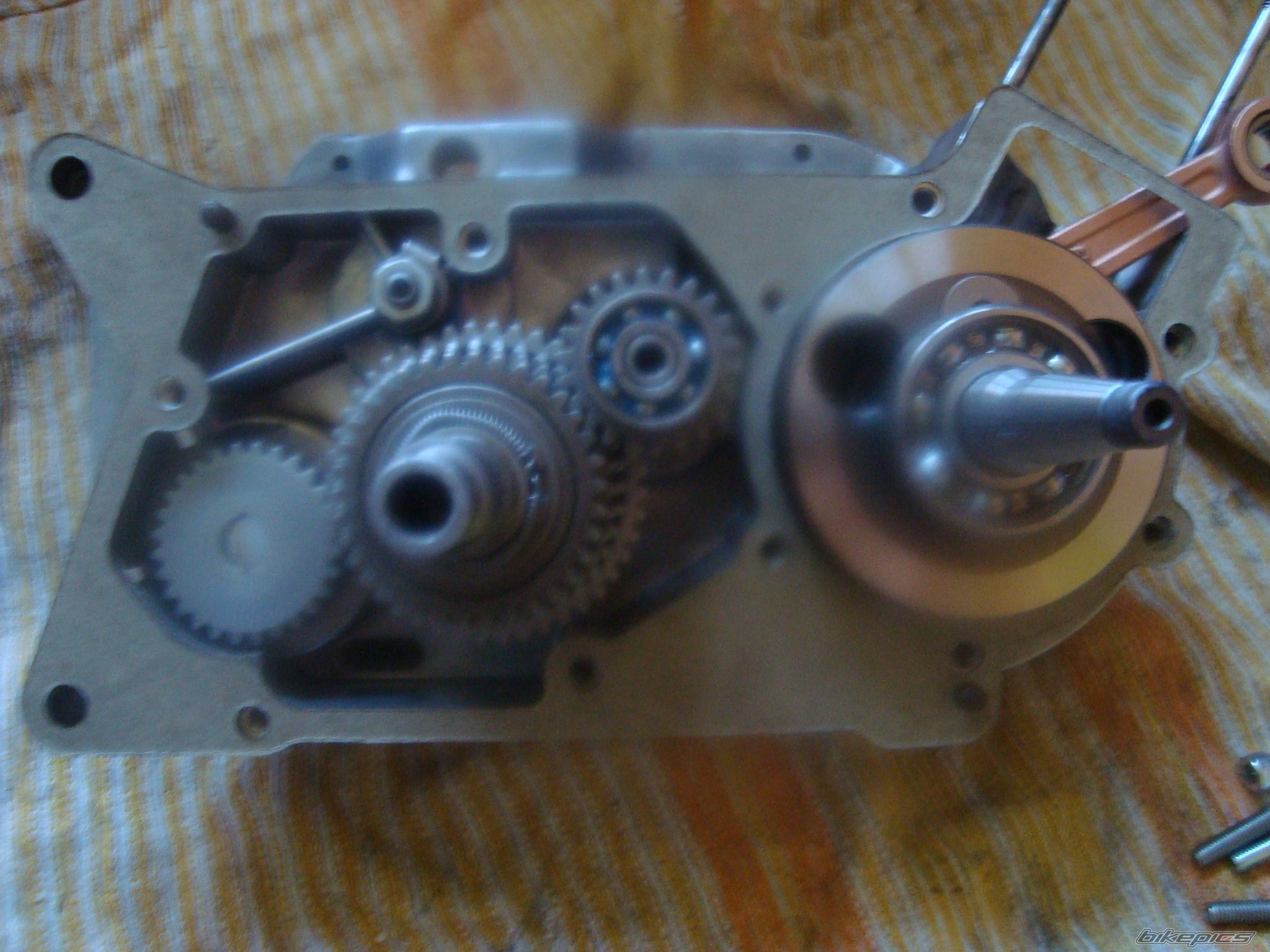 Photo 2469920
