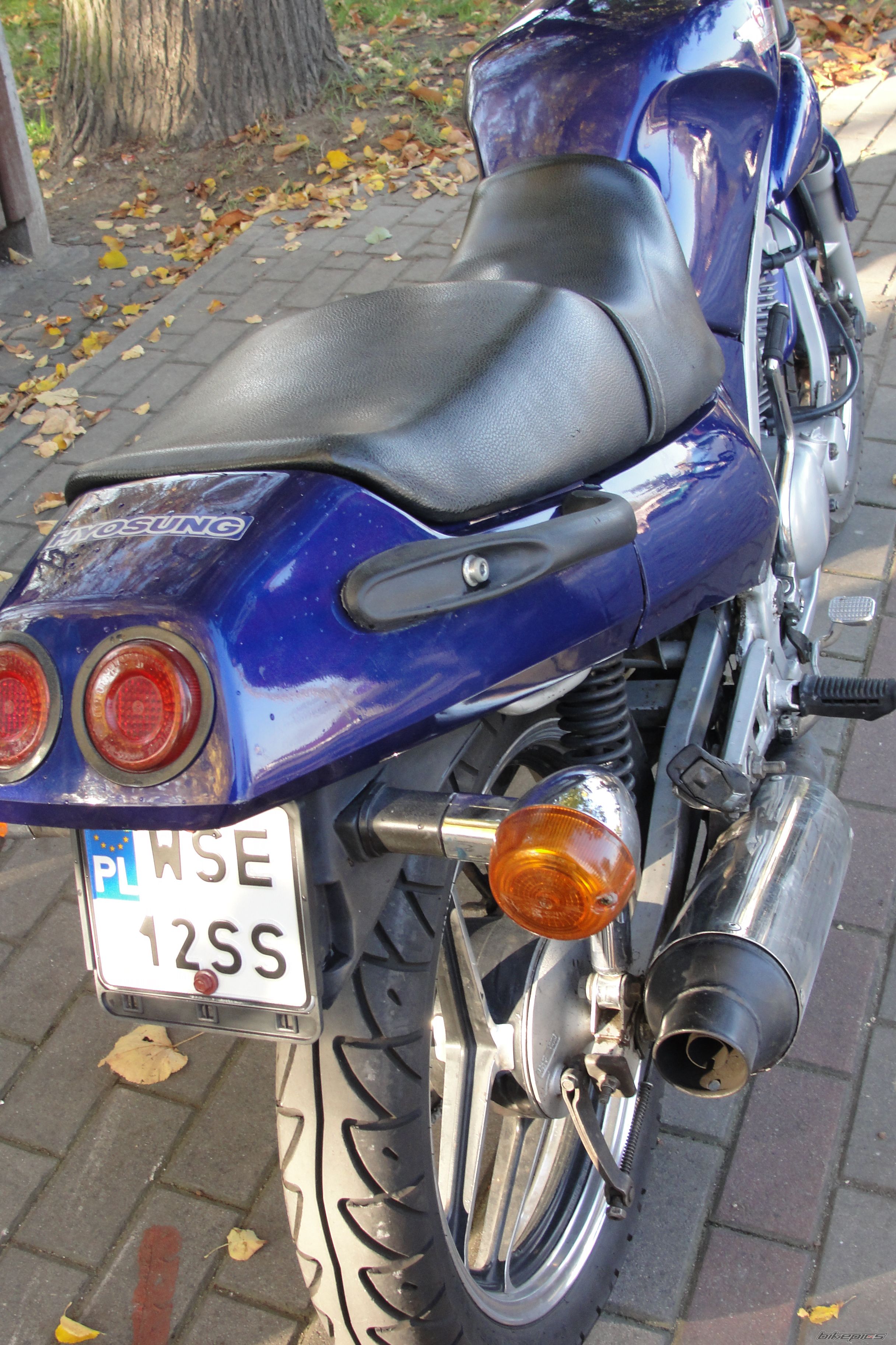 Photo 2469940