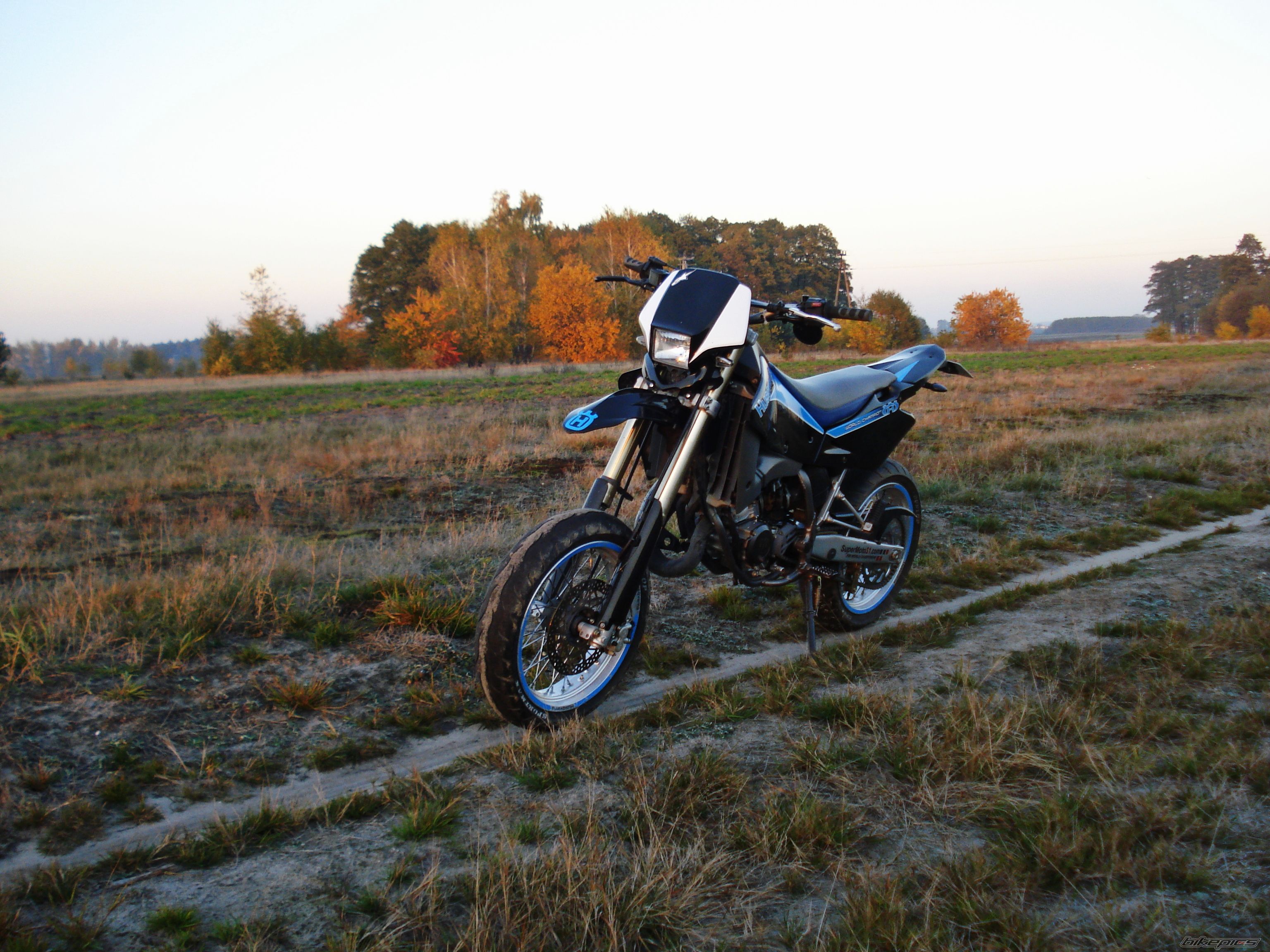 Photo 2469968