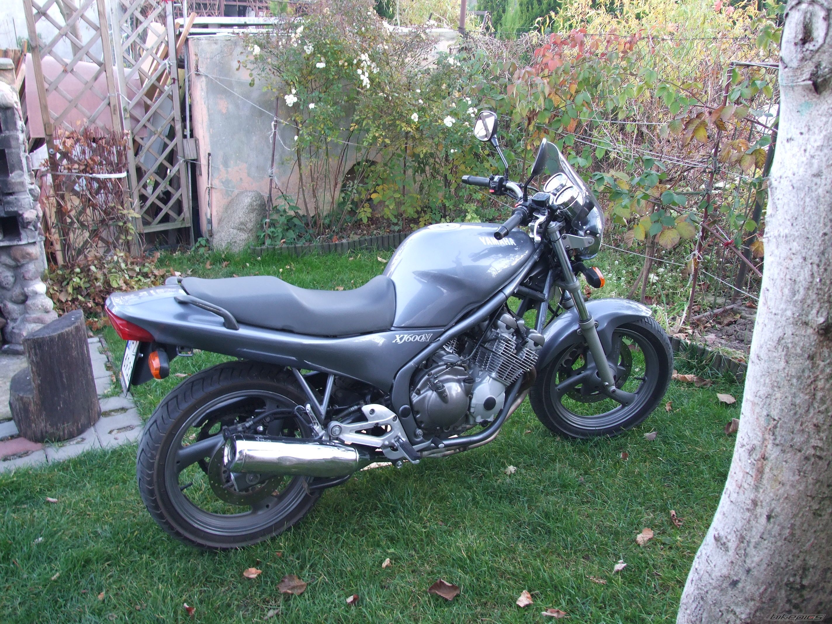 Photo 2469969