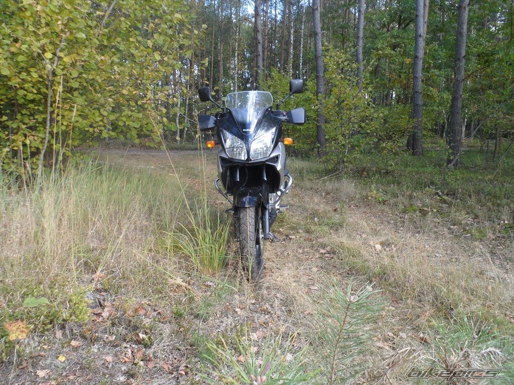 Photo 2469975