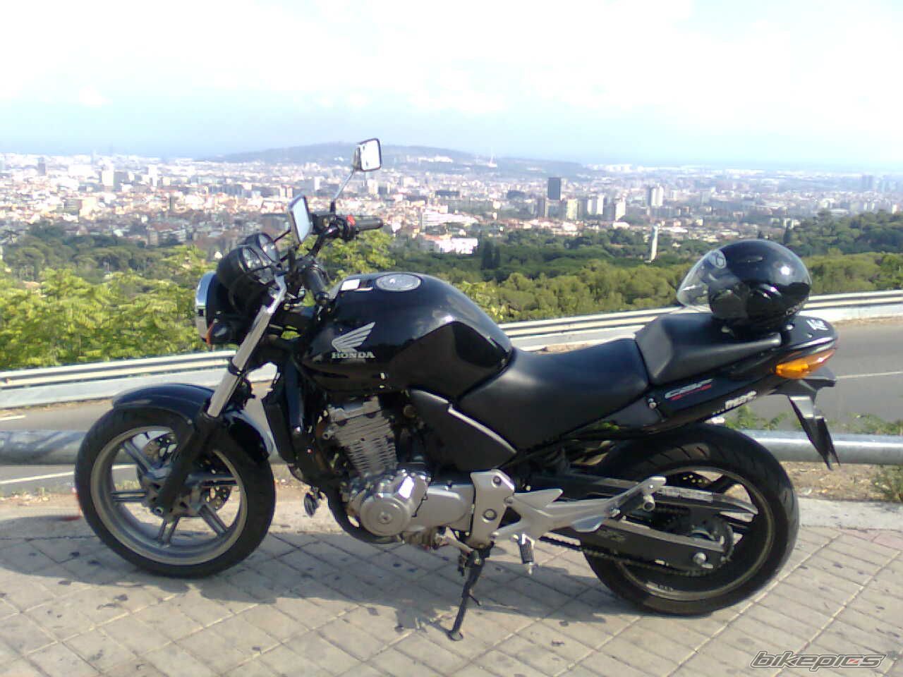 Photo 2469987