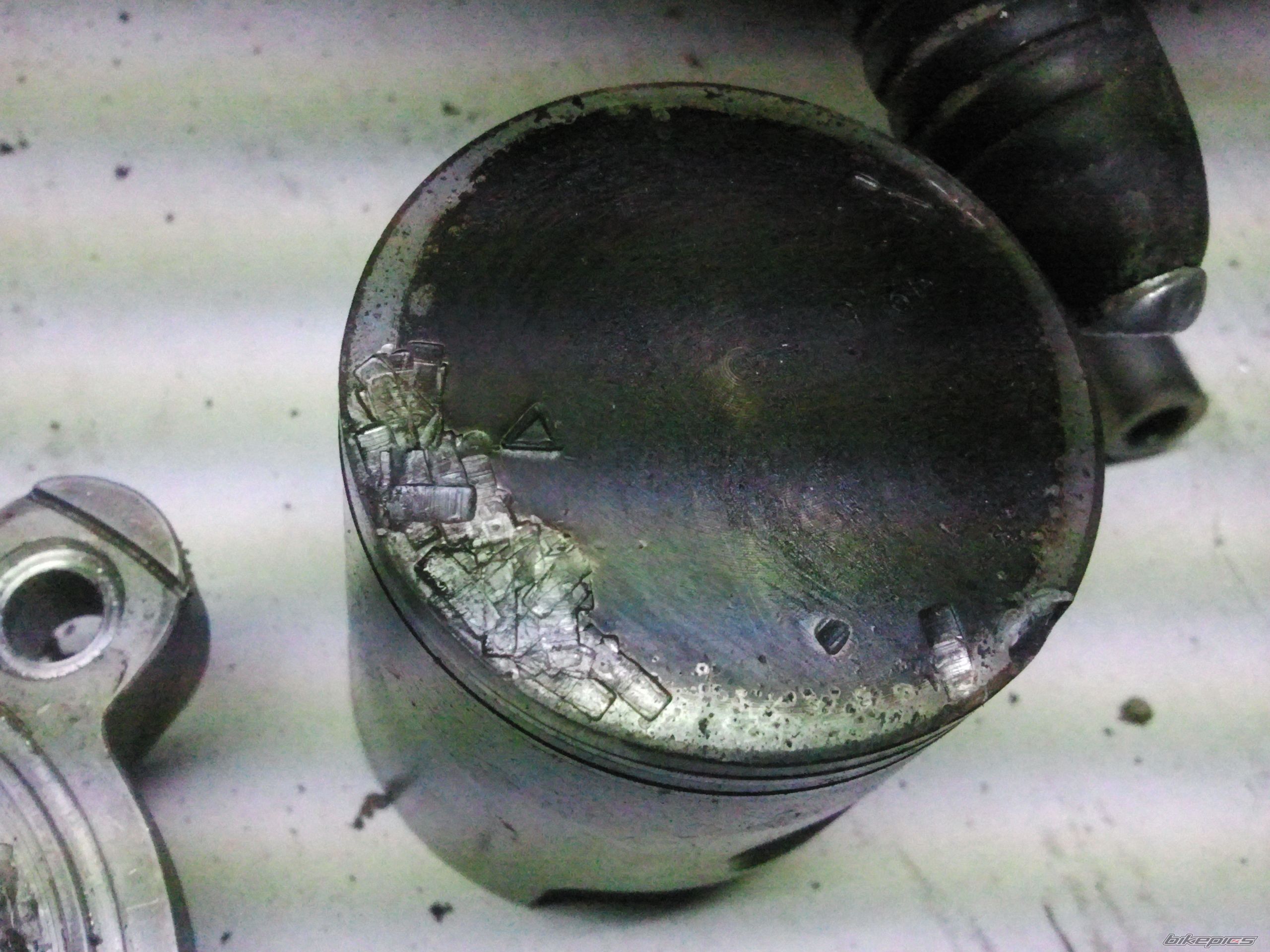 Photo 2470020