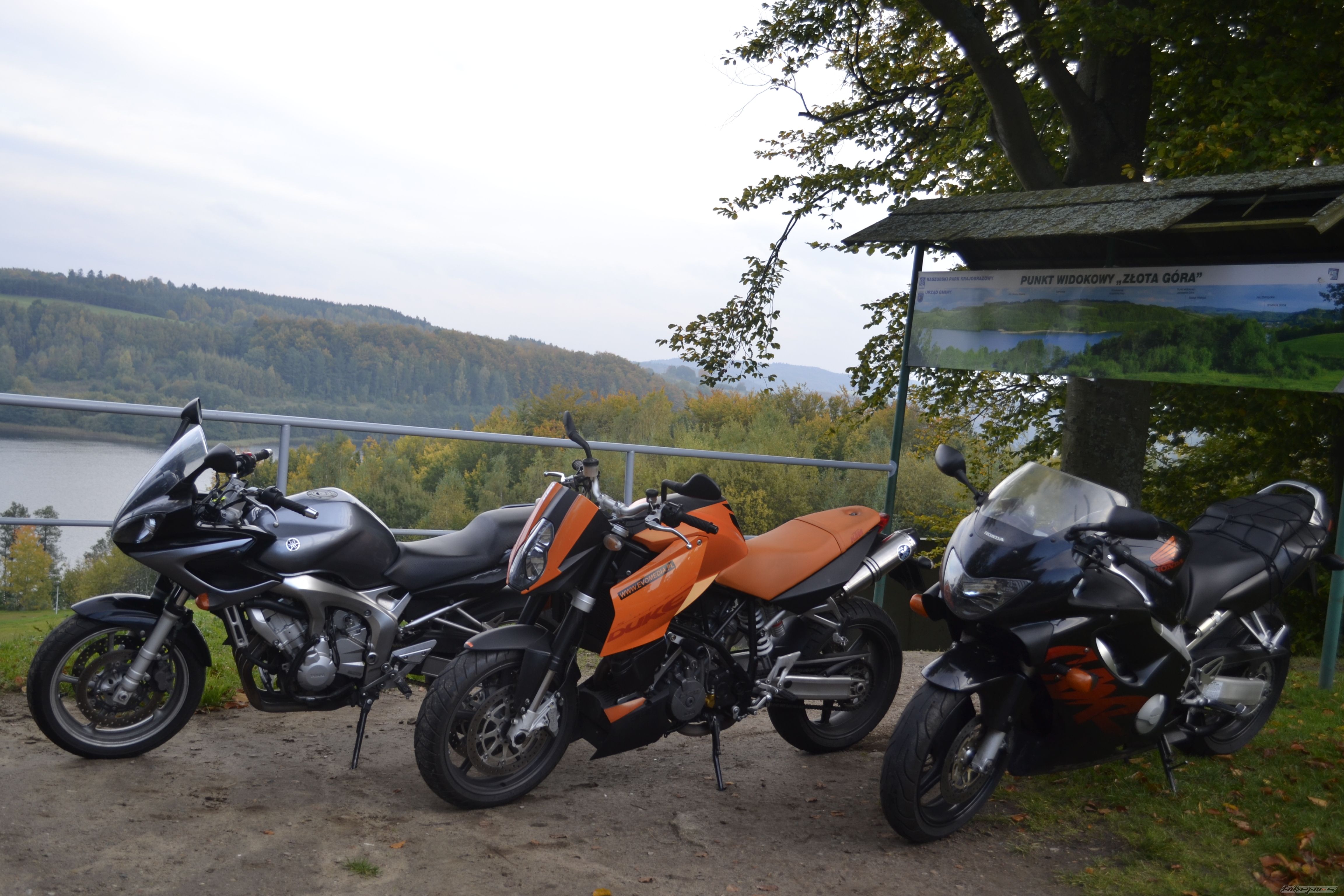 Photo 2470053