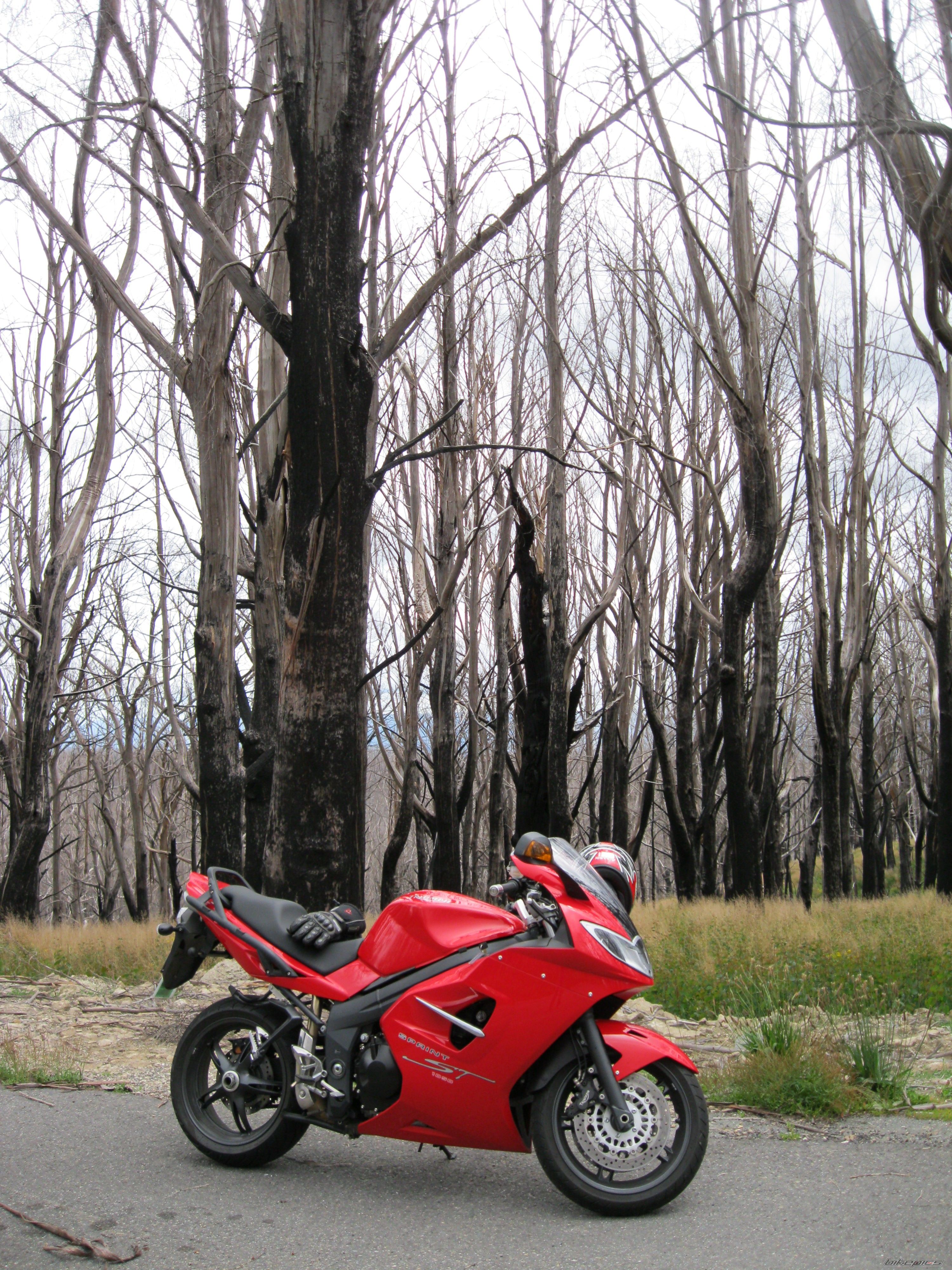 Photo 2470079