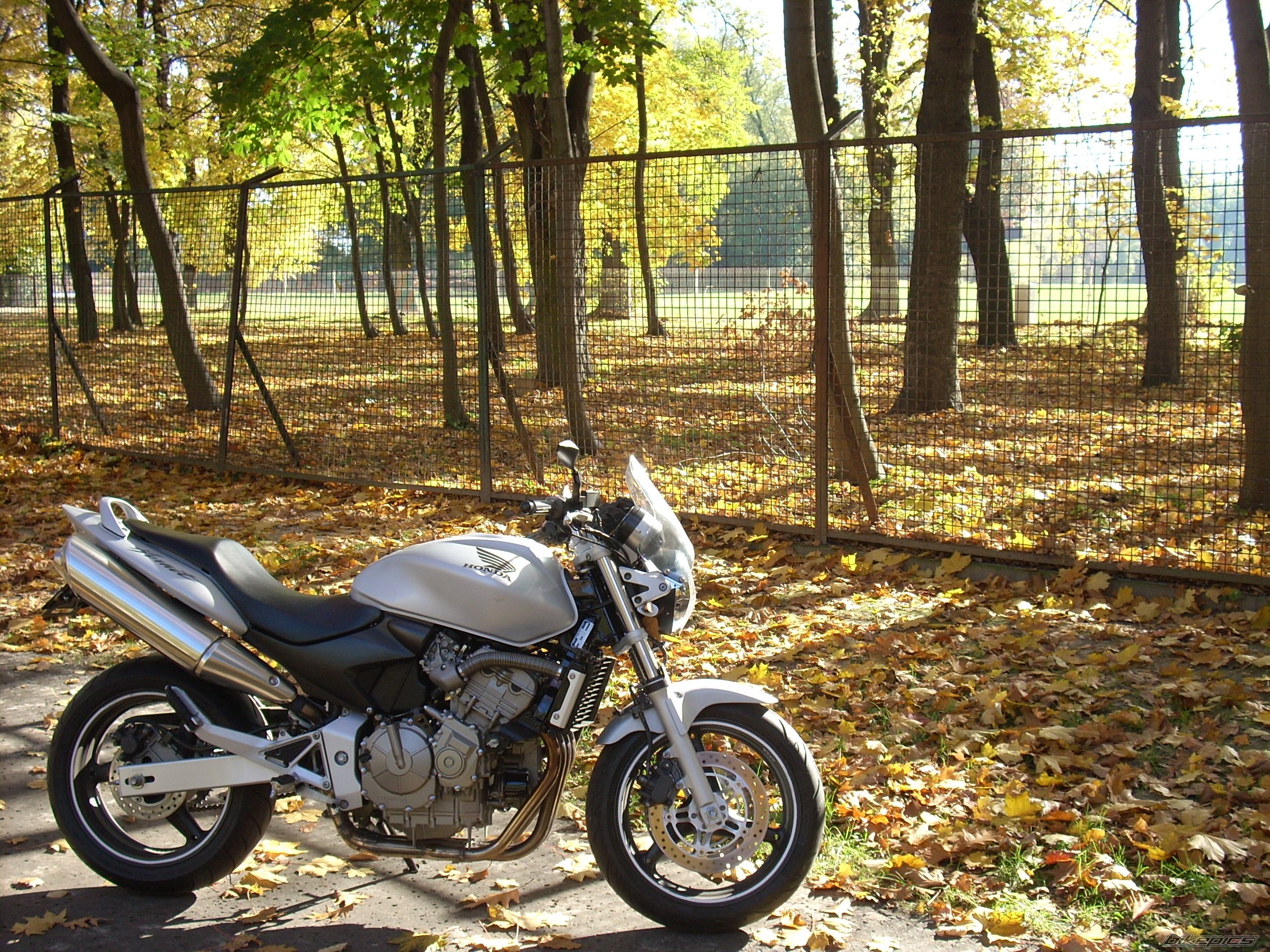 Photo 2470135