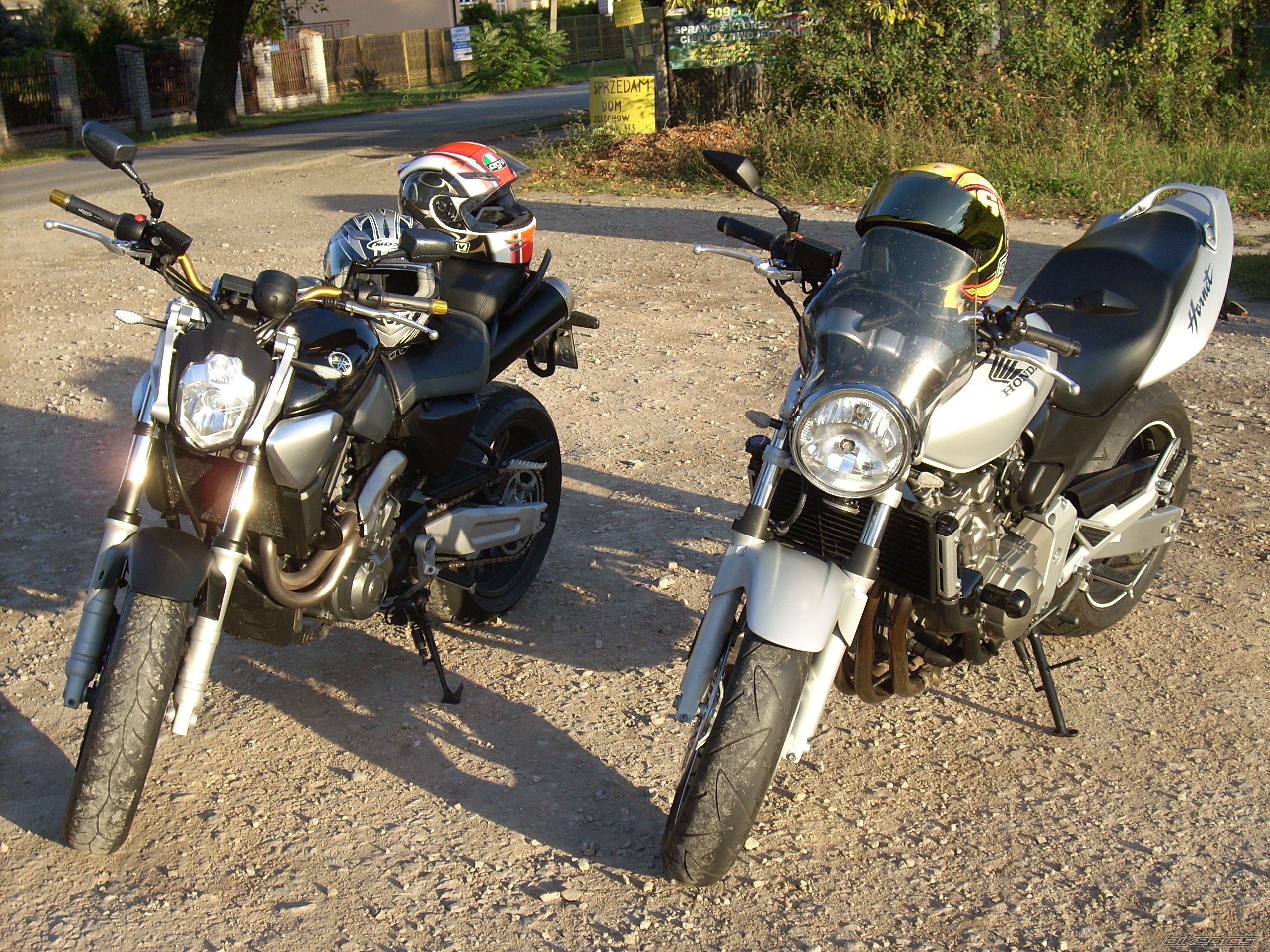 Photo 2470138