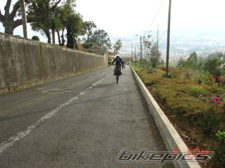 Photo 247022