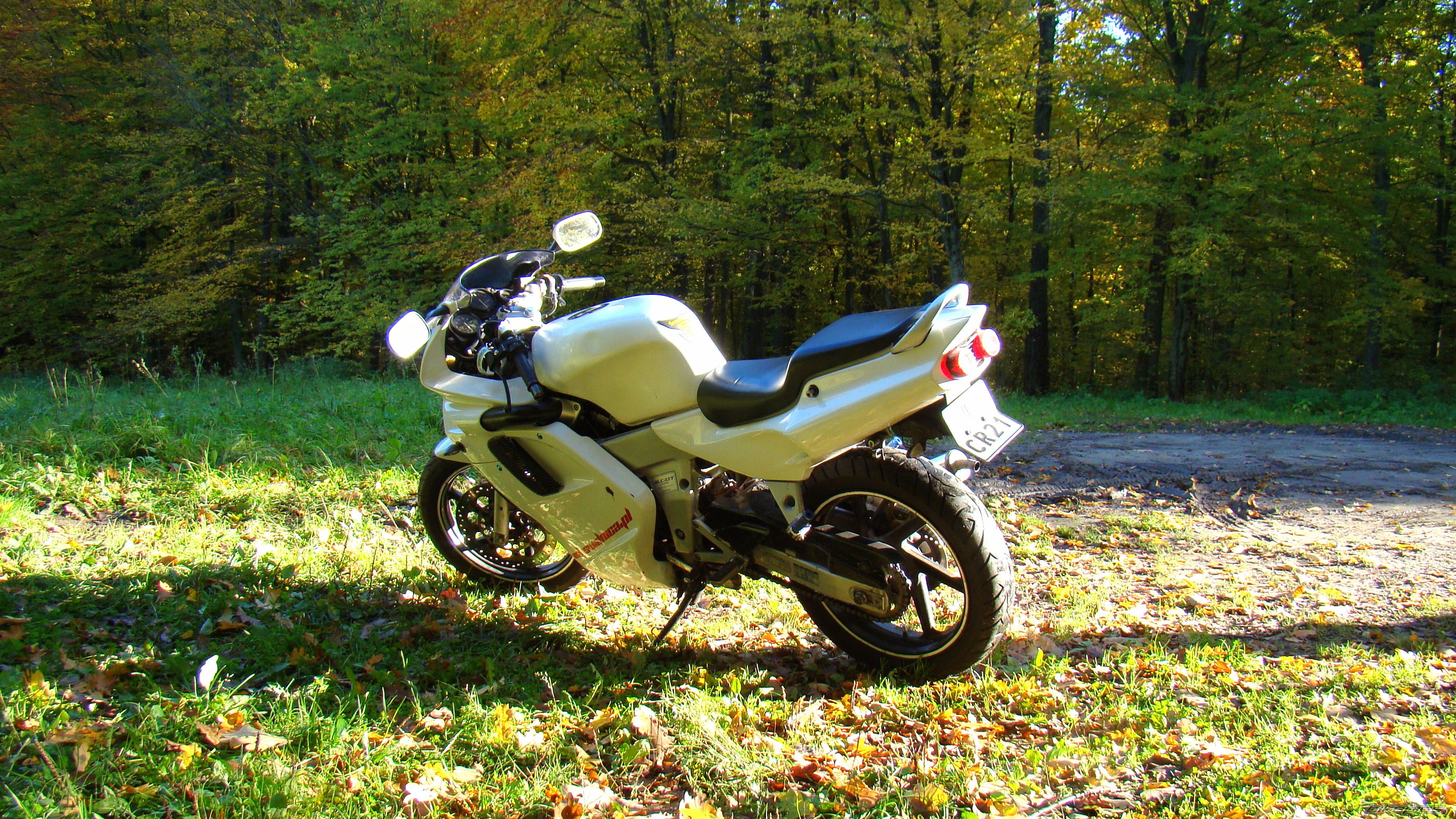Photo 2470273