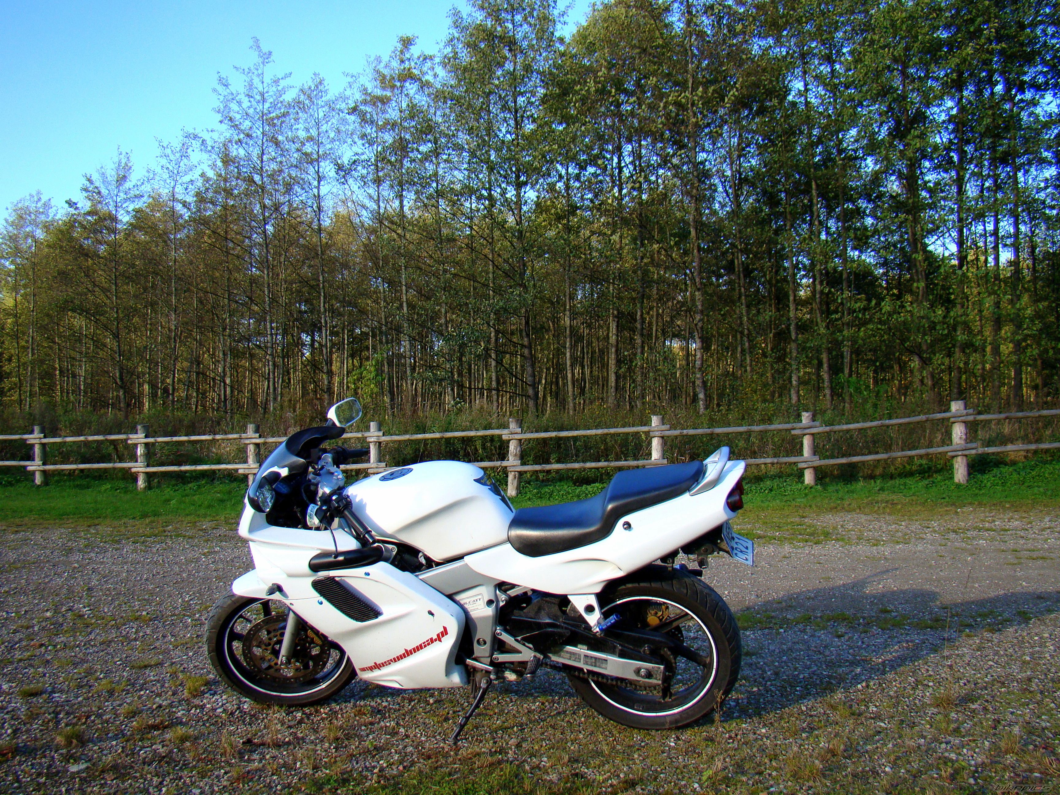 Photo 2470274