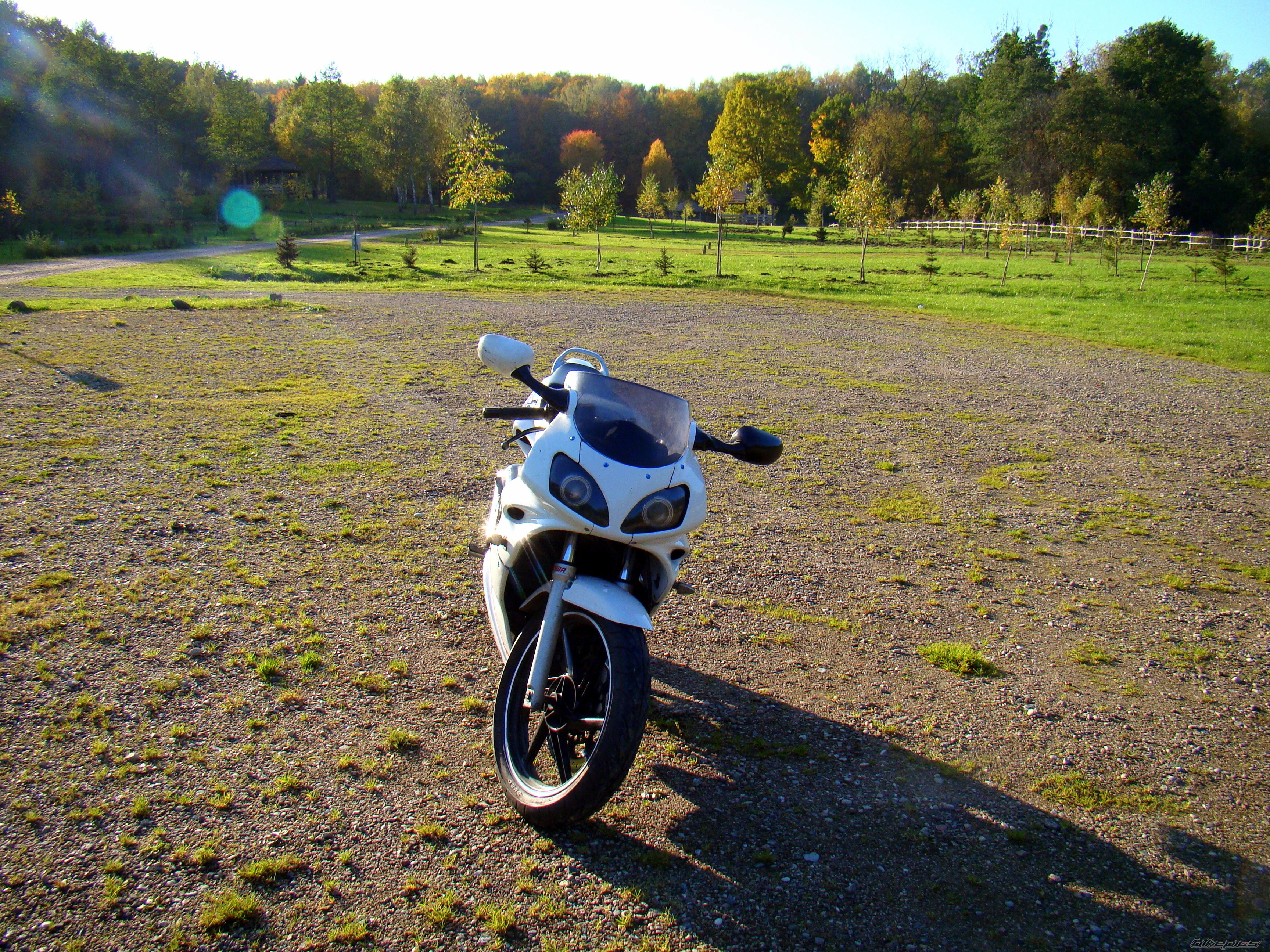 Photo 2470275