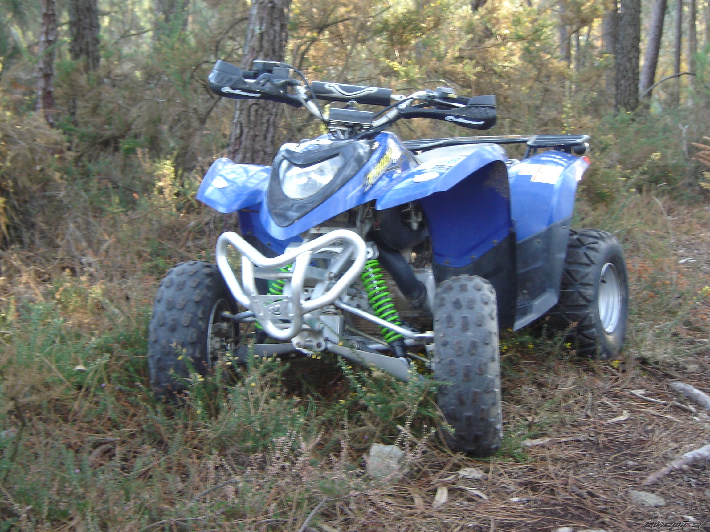 Photo 2470329