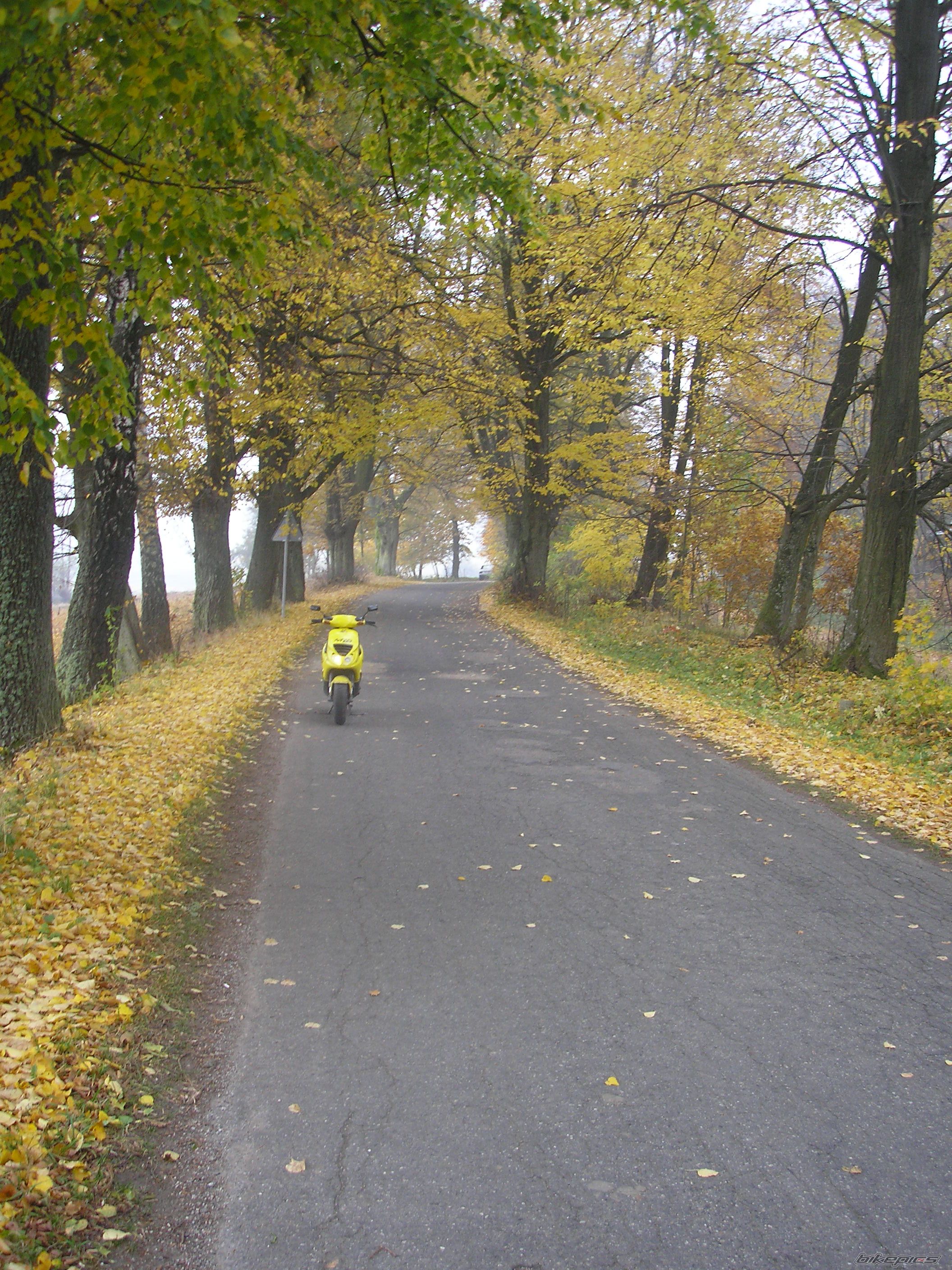 Bike Photo 2470345
