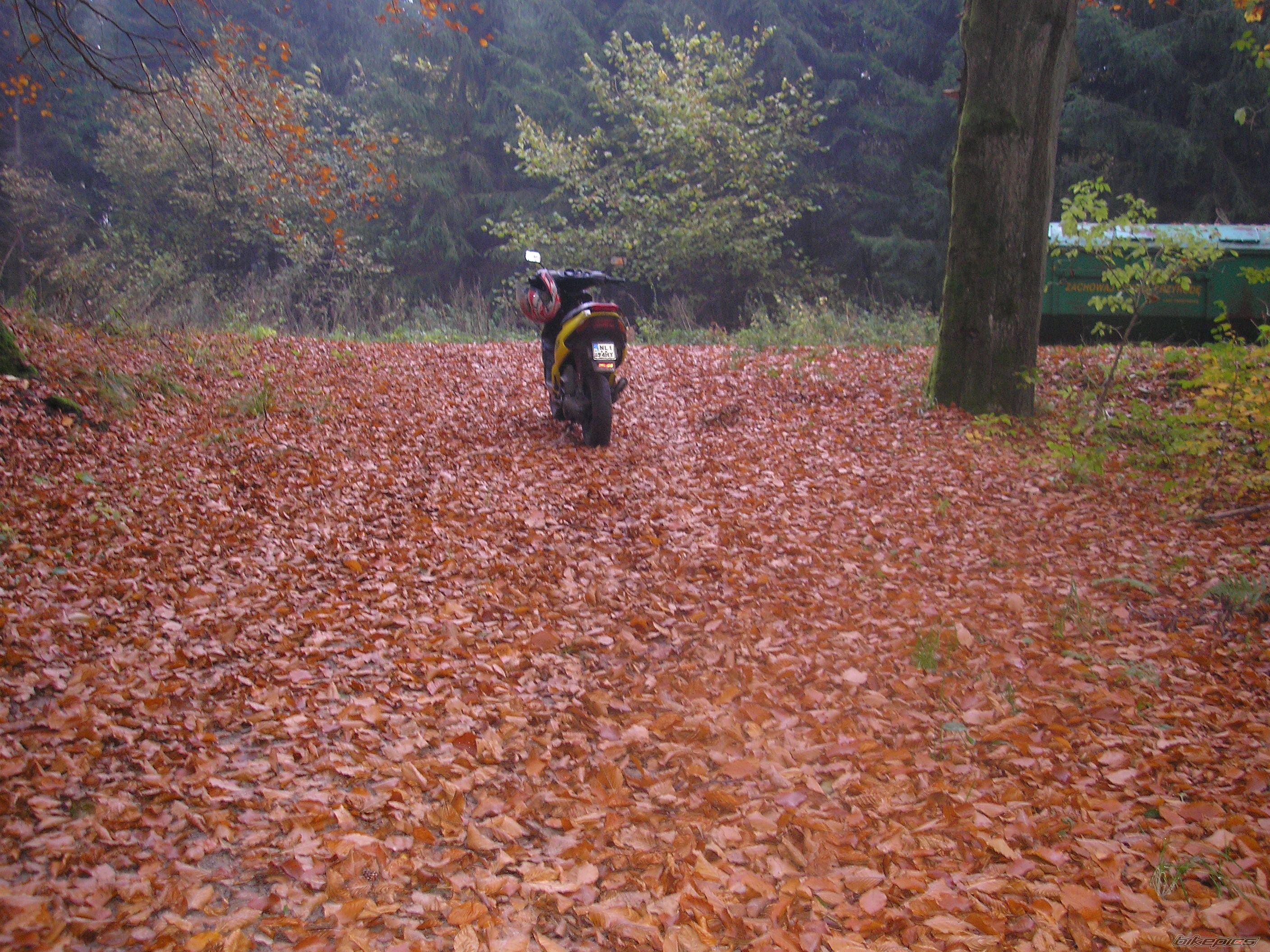 Bike Photo 2470349