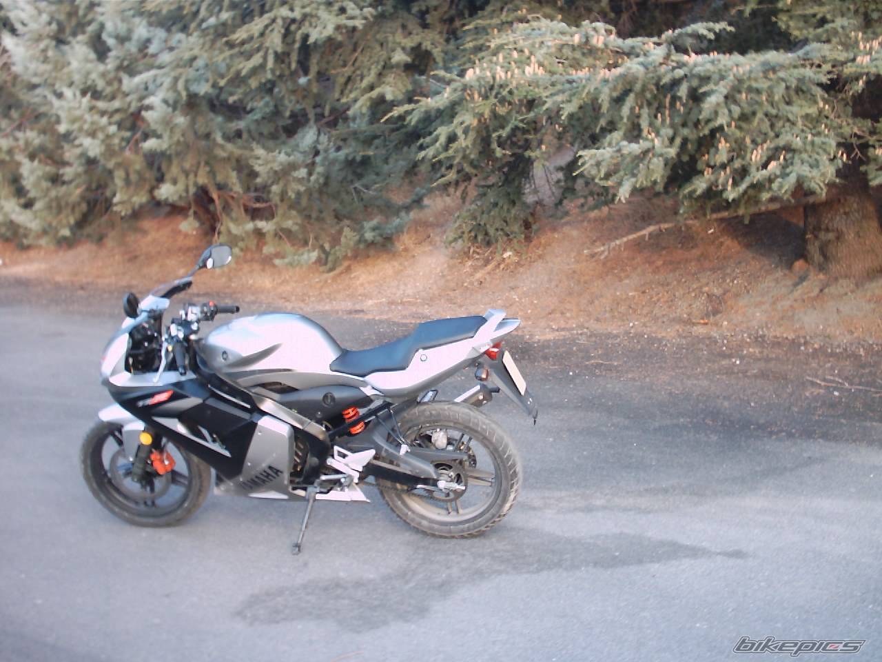 Photo 247035