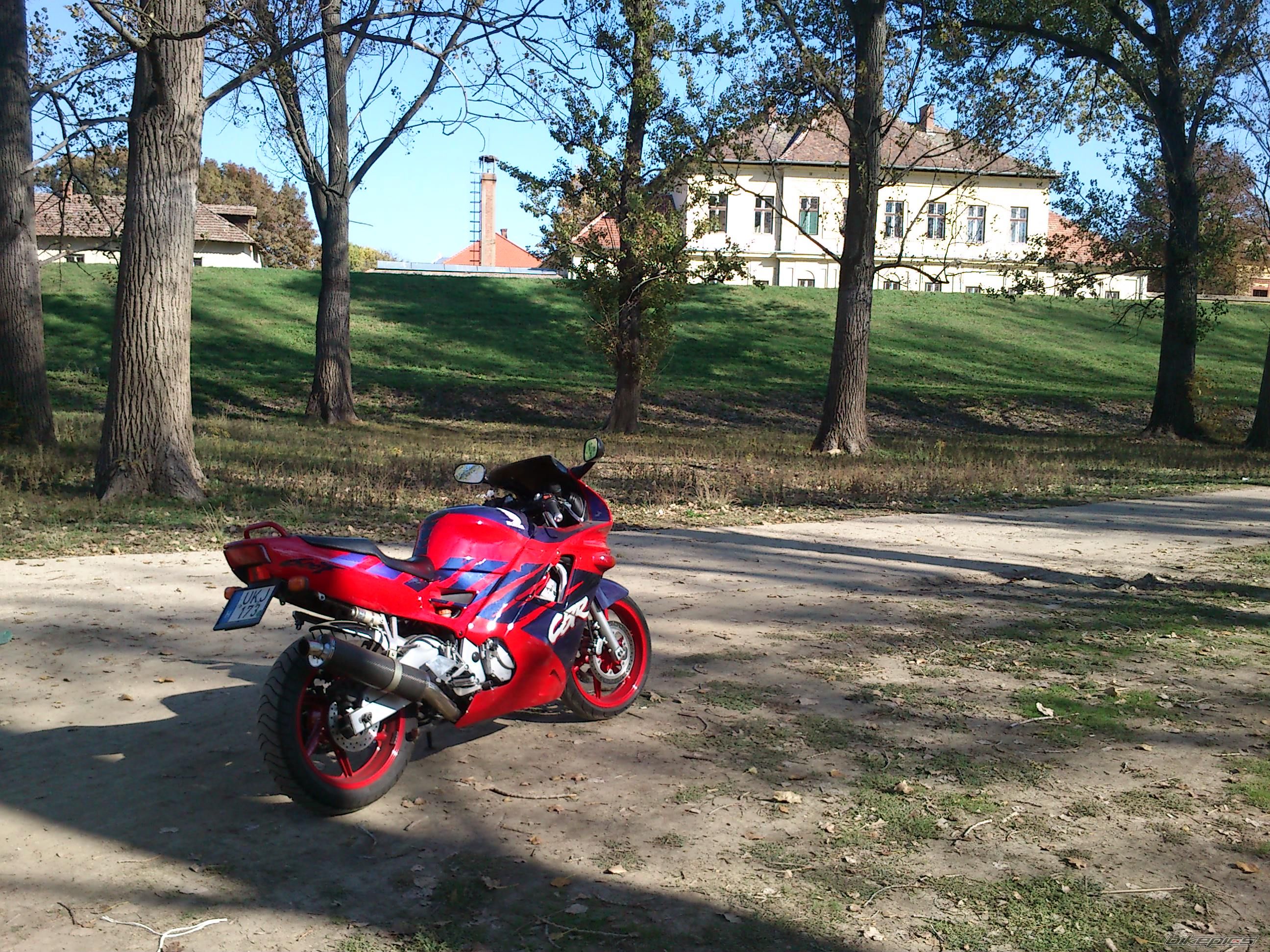 Photo 2470369