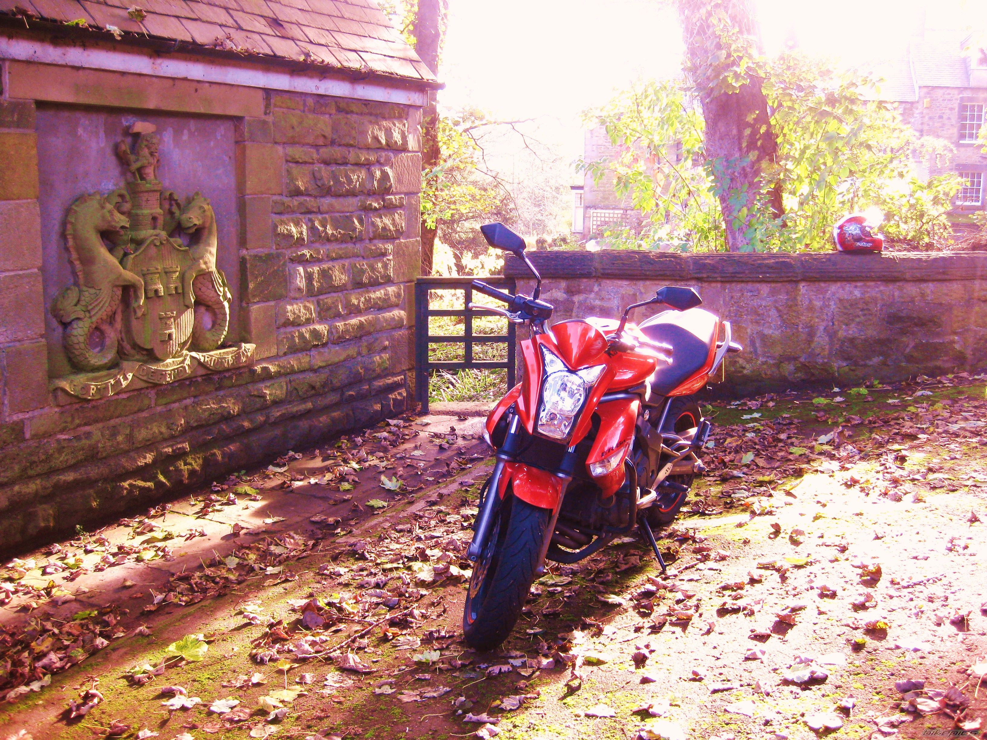 Bike Photo 2470382