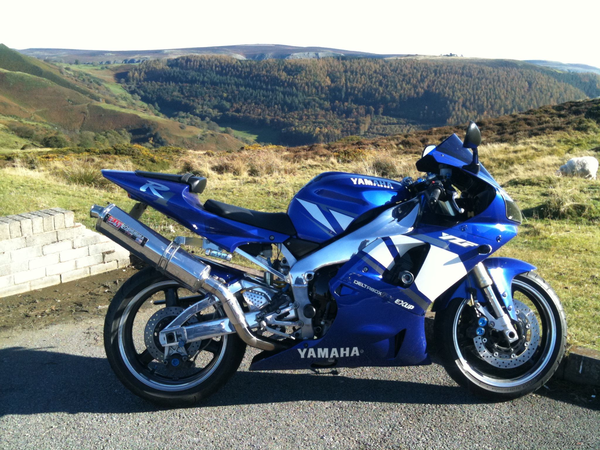 Photo 2470471