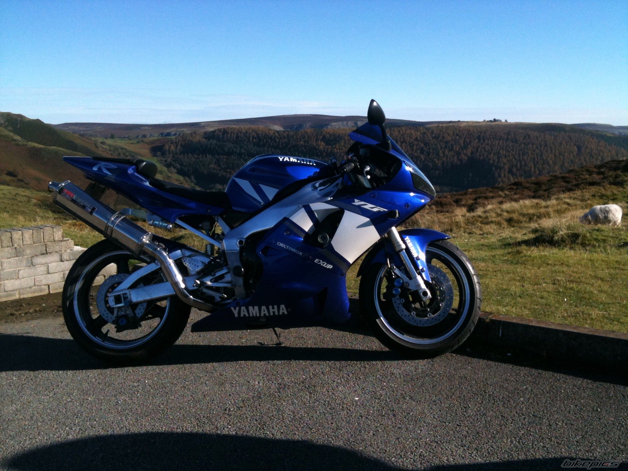 Photo 2470472