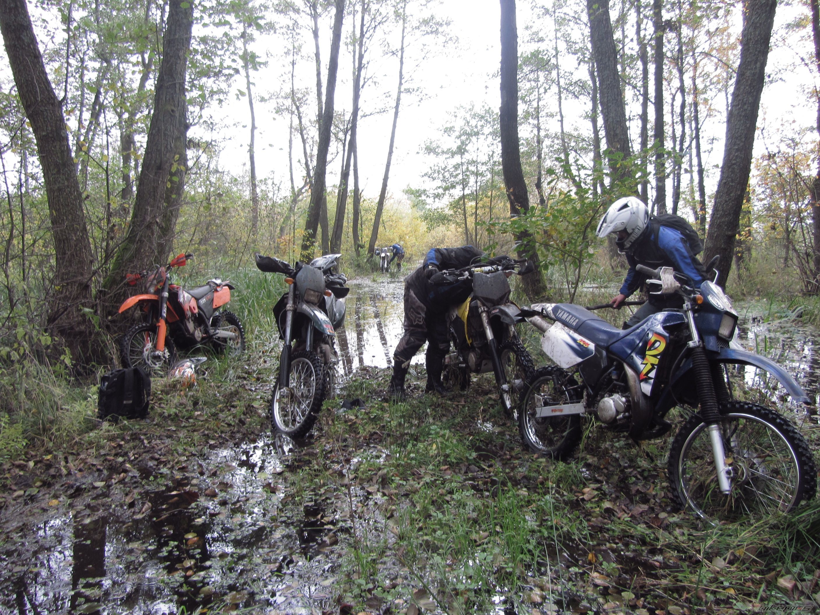 Photo 2470479