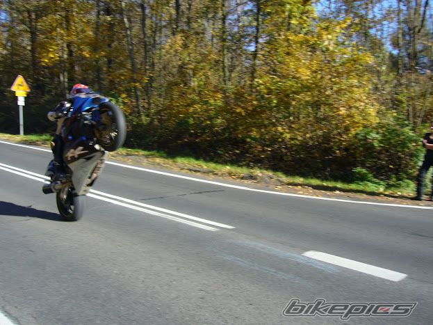 Photo 2470540