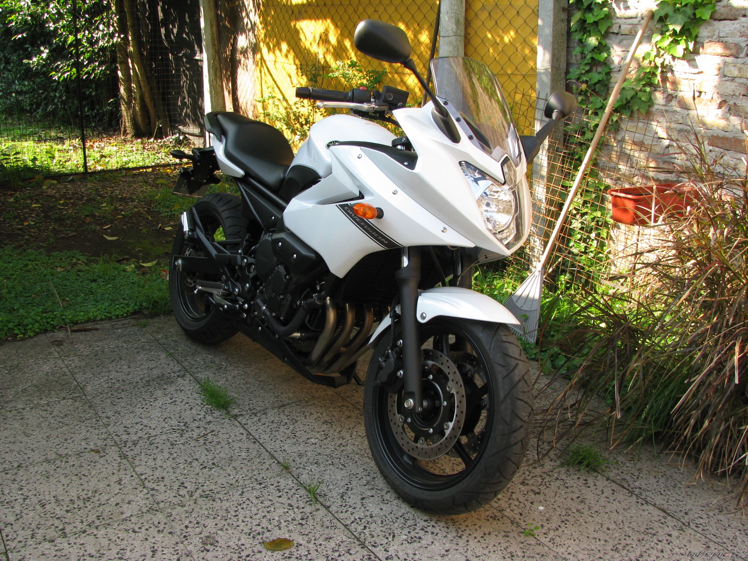 Photo 2470543