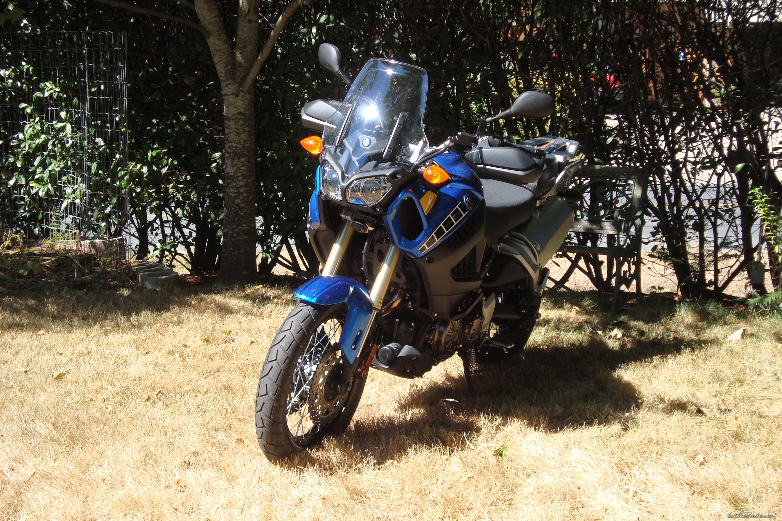 Photo 2470571